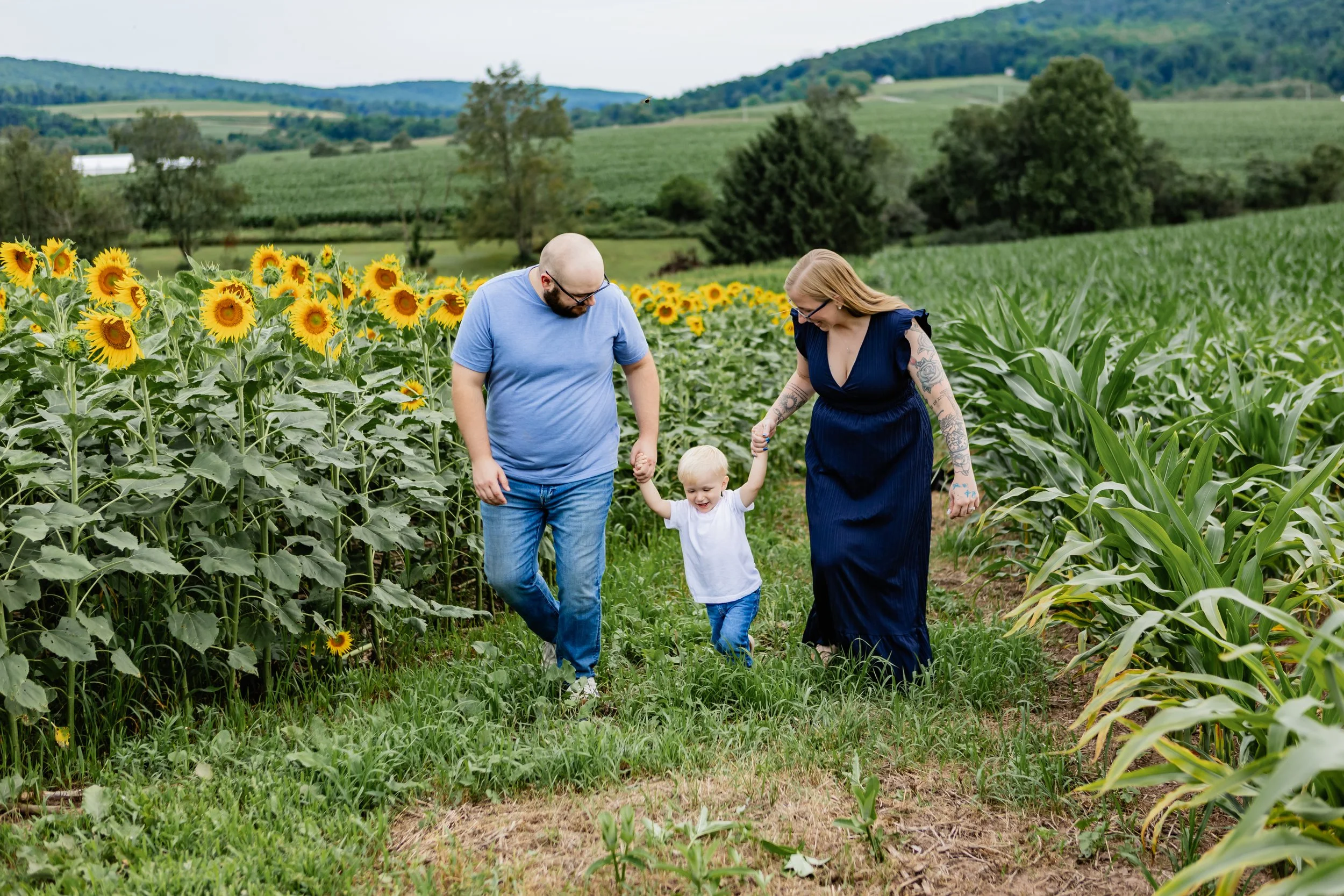 horning-sunflower-july2026--13.JPG
