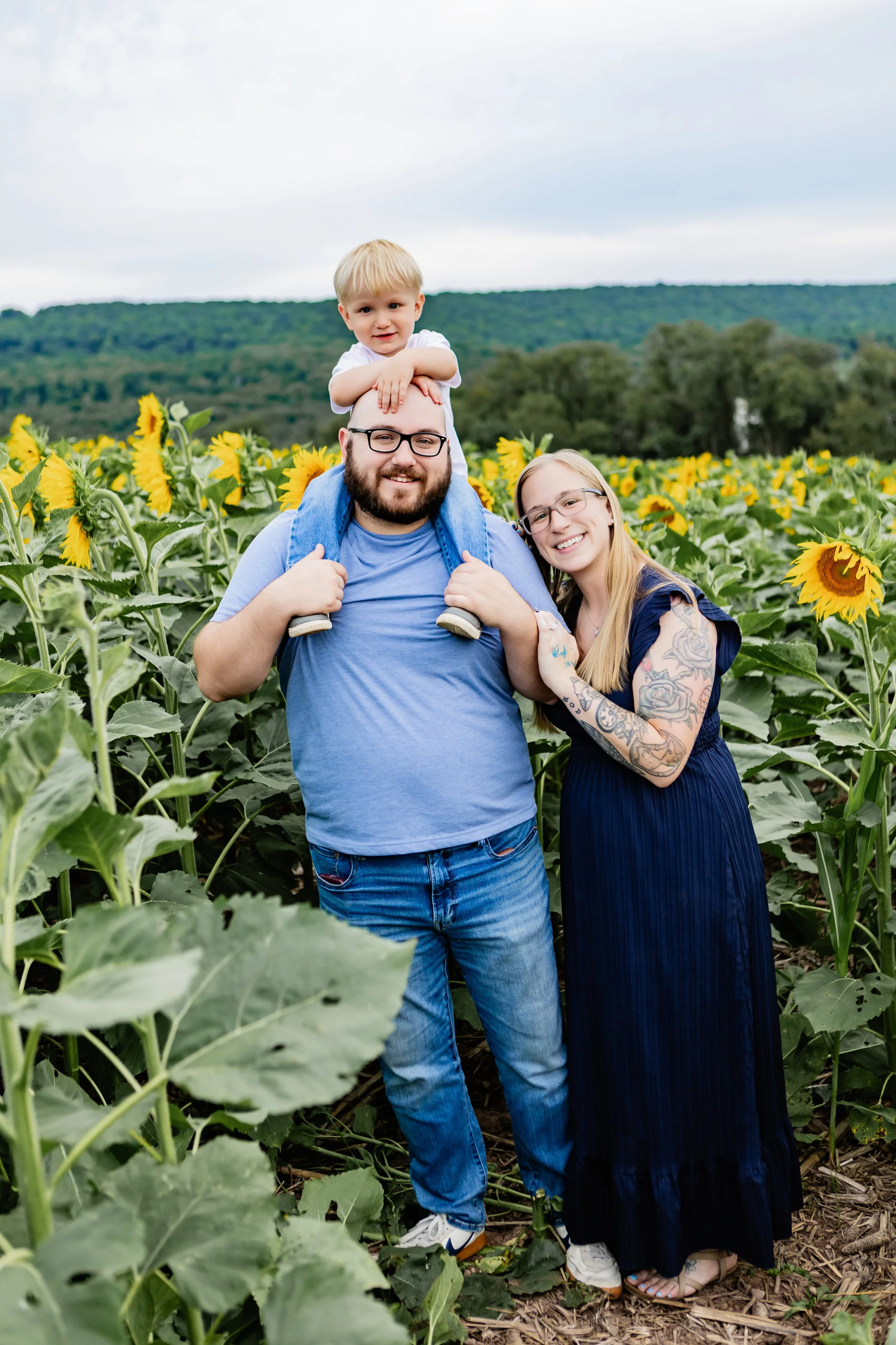 horning-sunflower-july2026--6.JPG