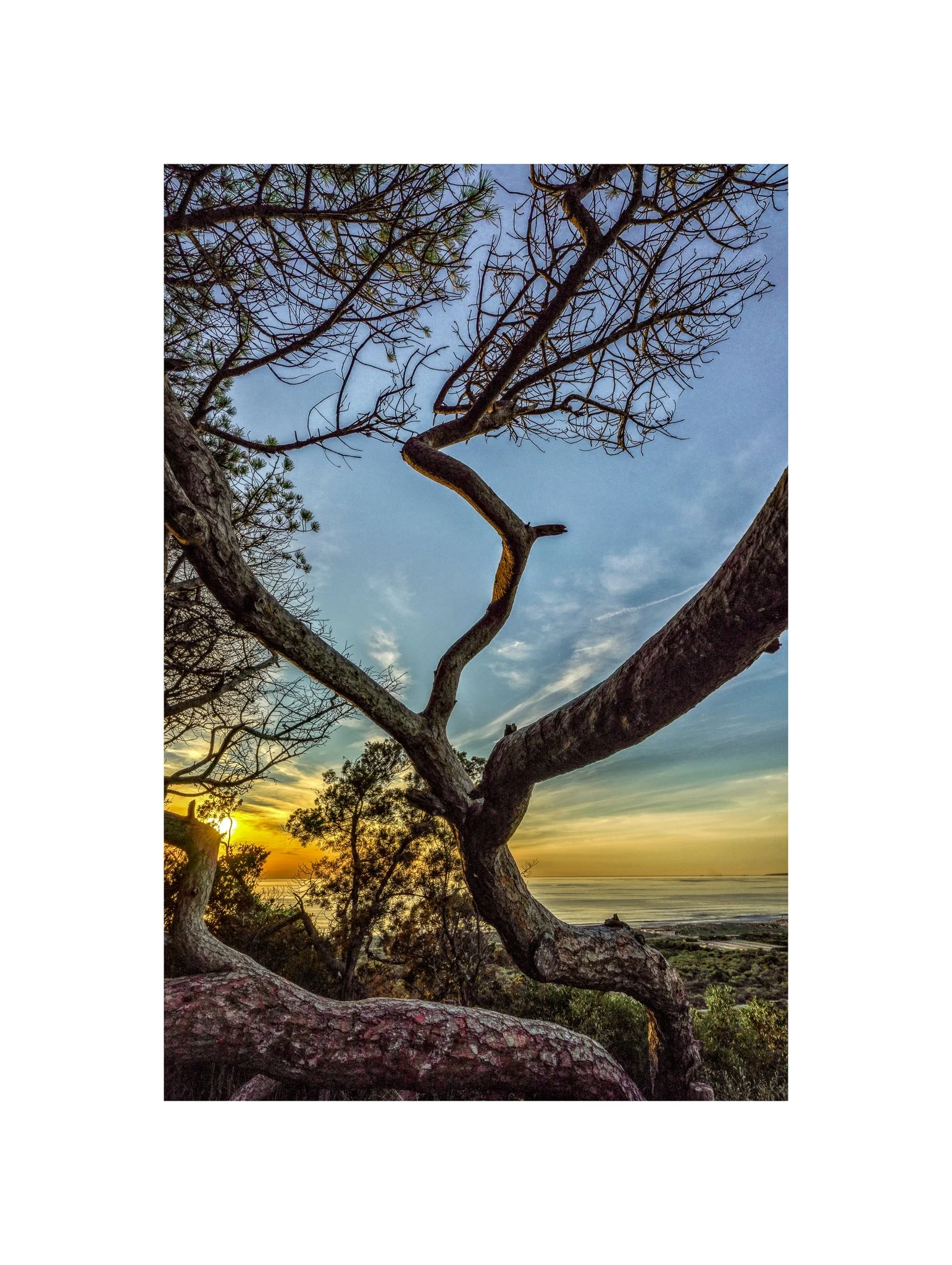 Costa da Caparica - (Mata dos Medos, Pôr do Sol 01 B) (30x40)