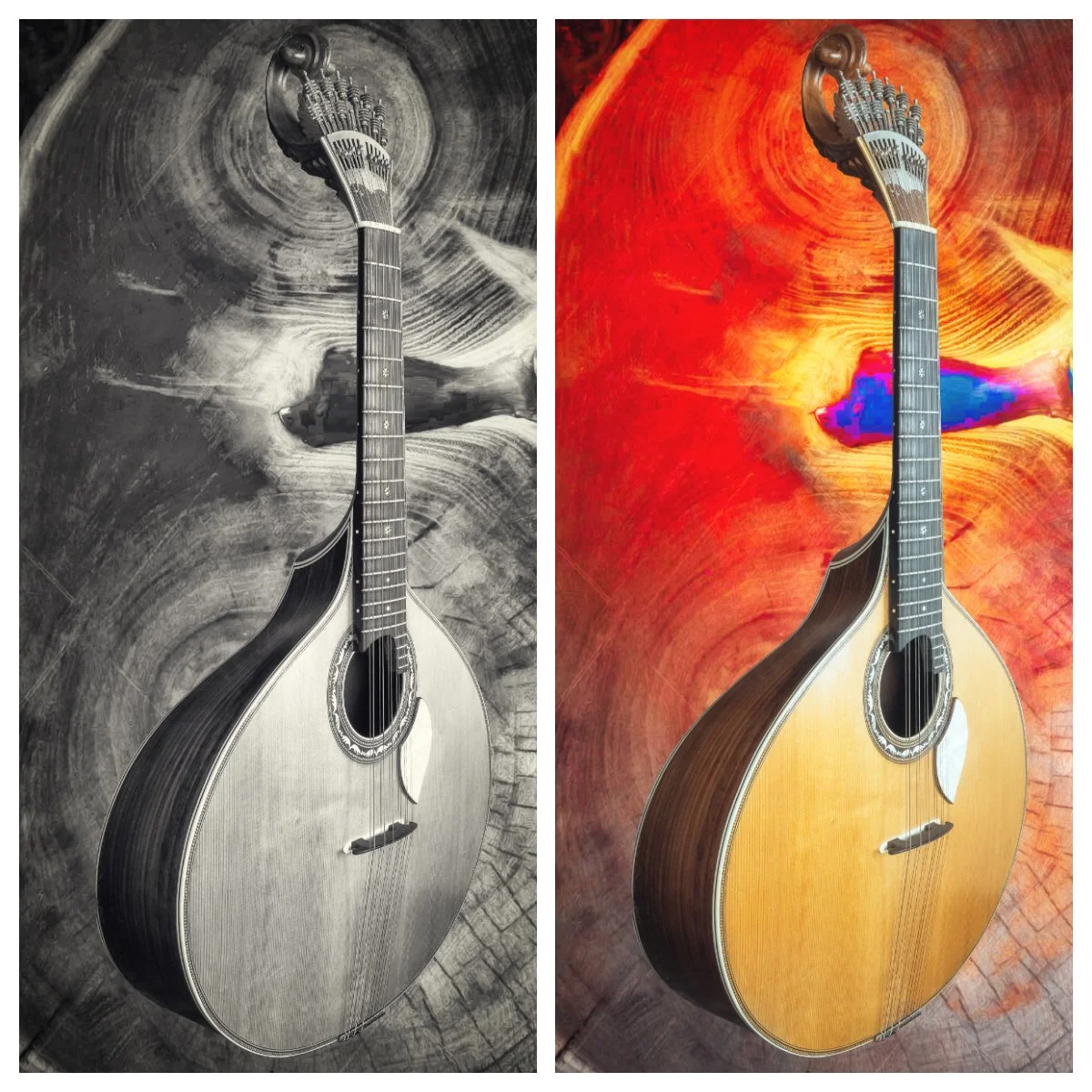 Guitarra Portuguesa 2.jpg