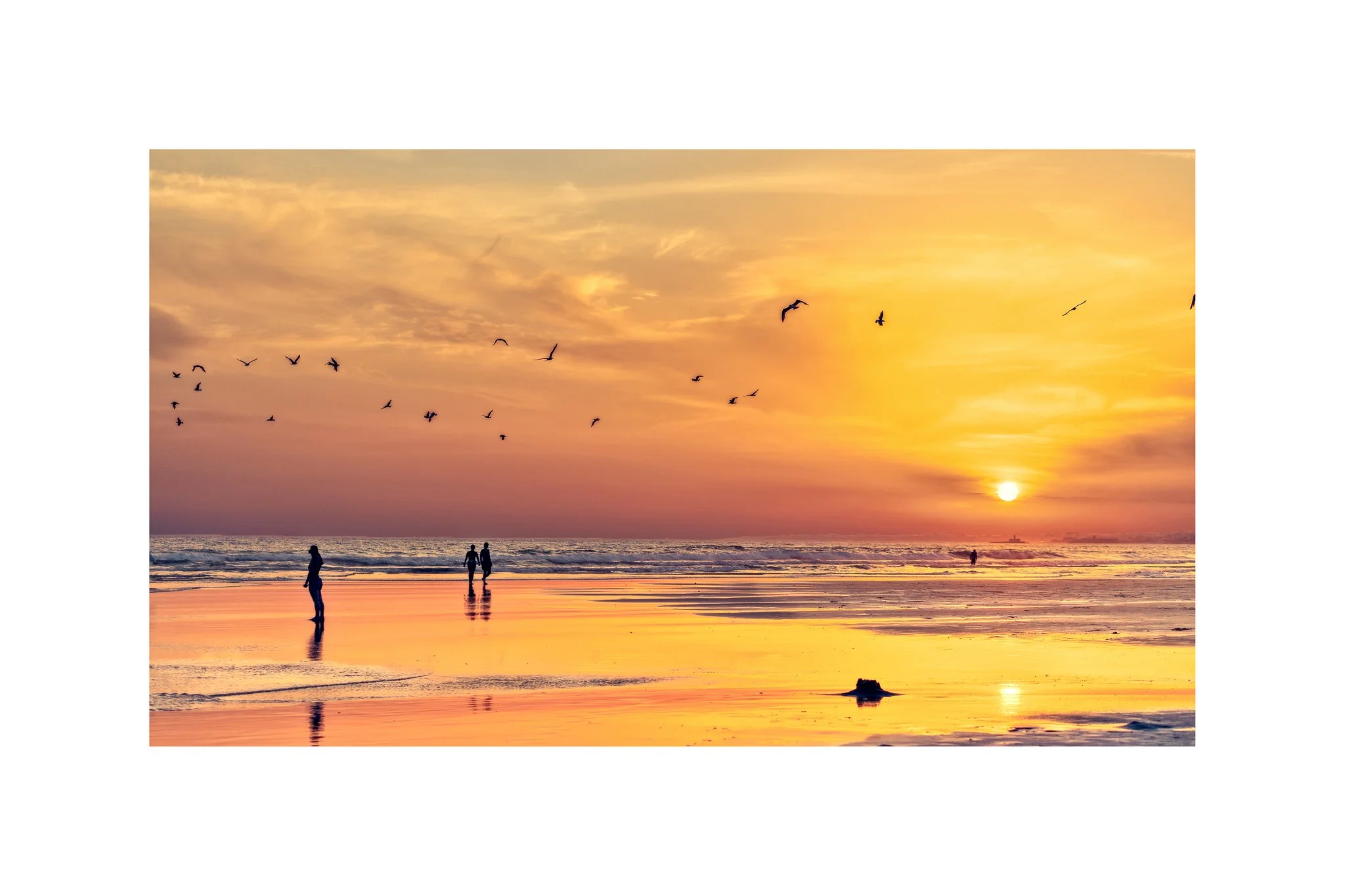 Costa da Caparica - (Pôr do Sol, Rosa 36 A) (30x45)