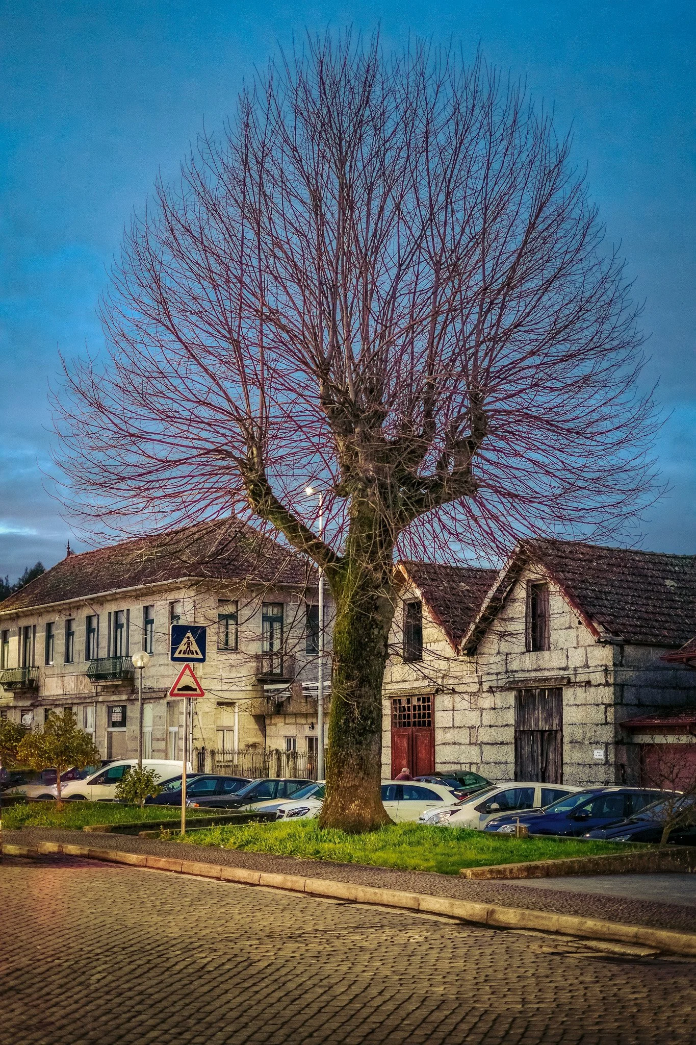 18022022Caíde de Rei0012-Edit.jpg