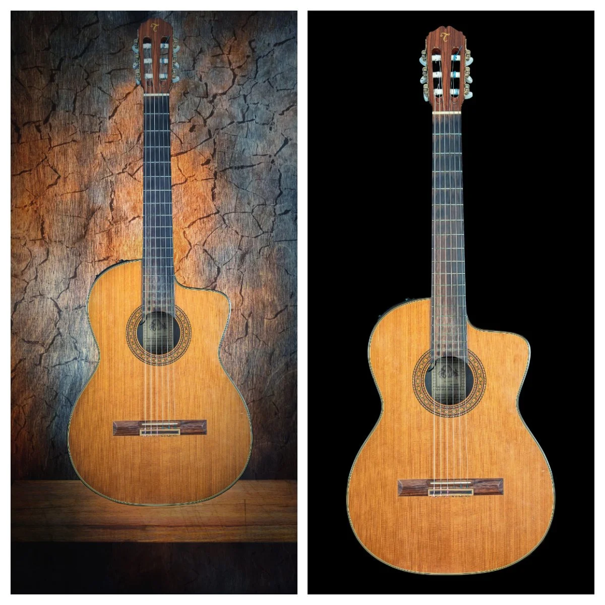 Takamine 2.jpg