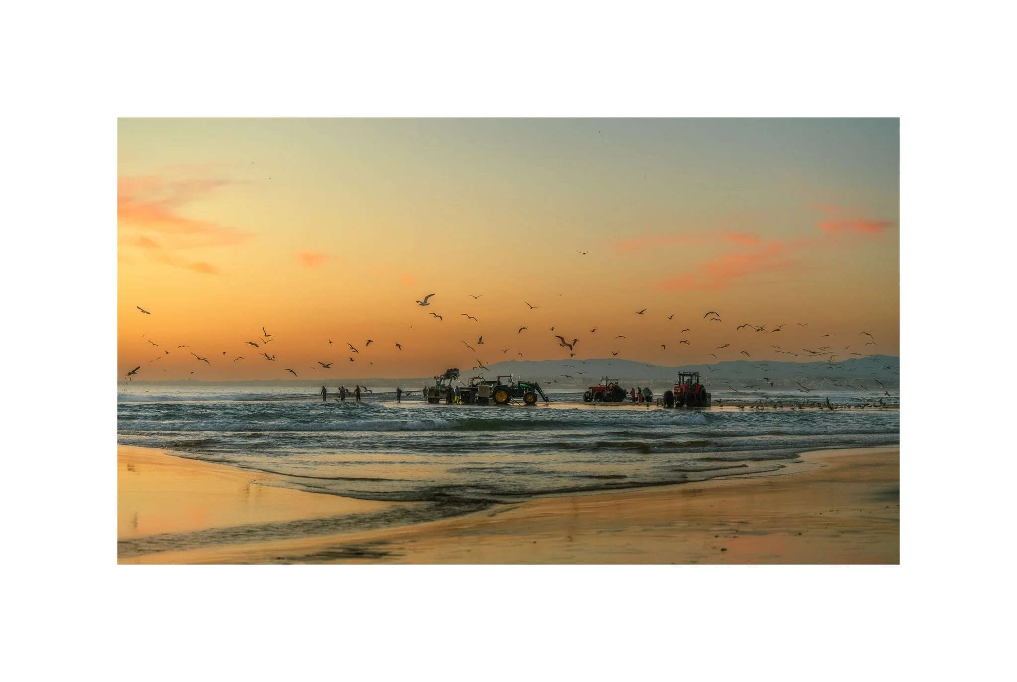 Costa da Caparica - (Arte Xávega, Gaivotas 07 A) (30x45)