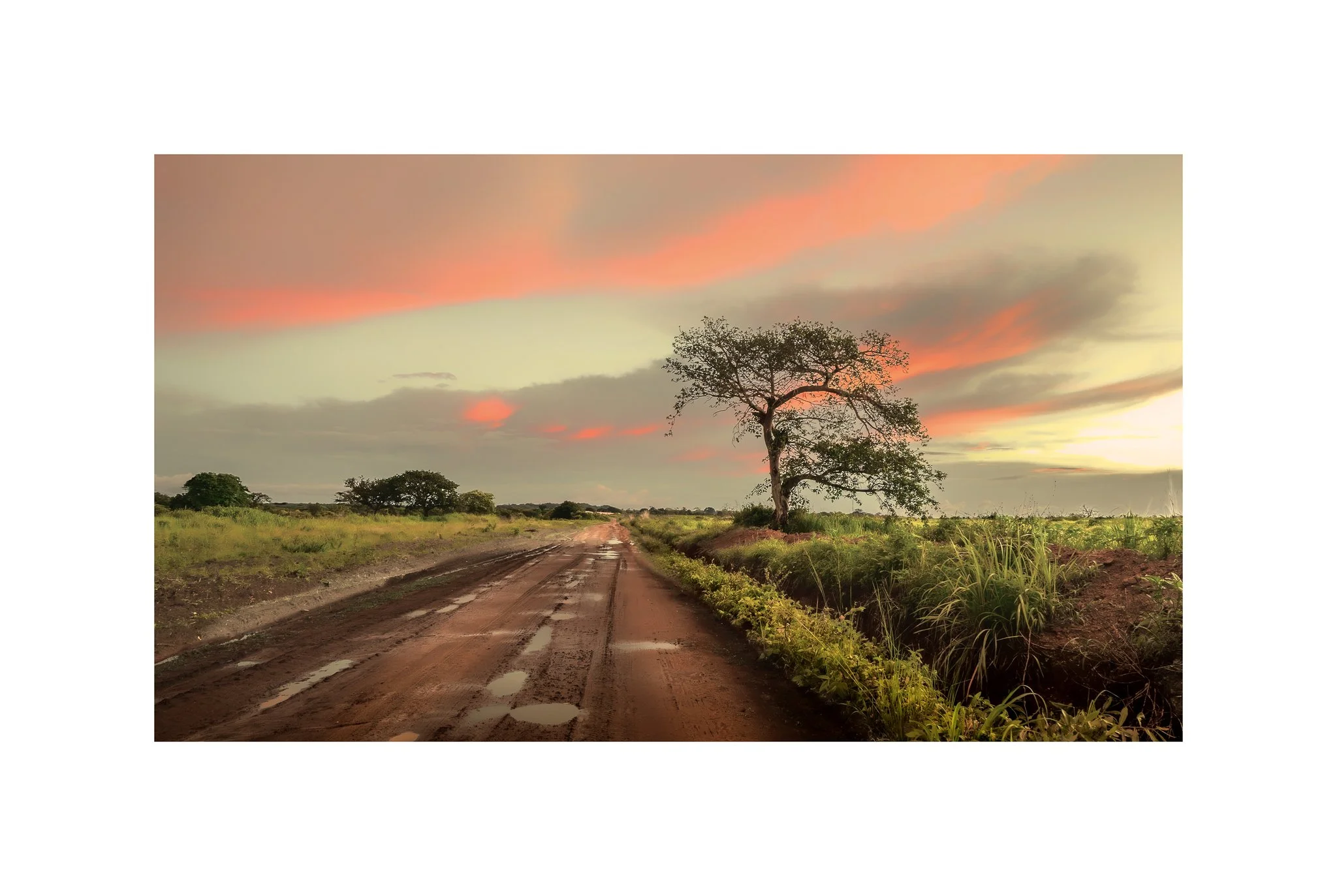 Angola - Faz. Kanduma (Pôr do Sol, Chuva 31 A) (30x45)