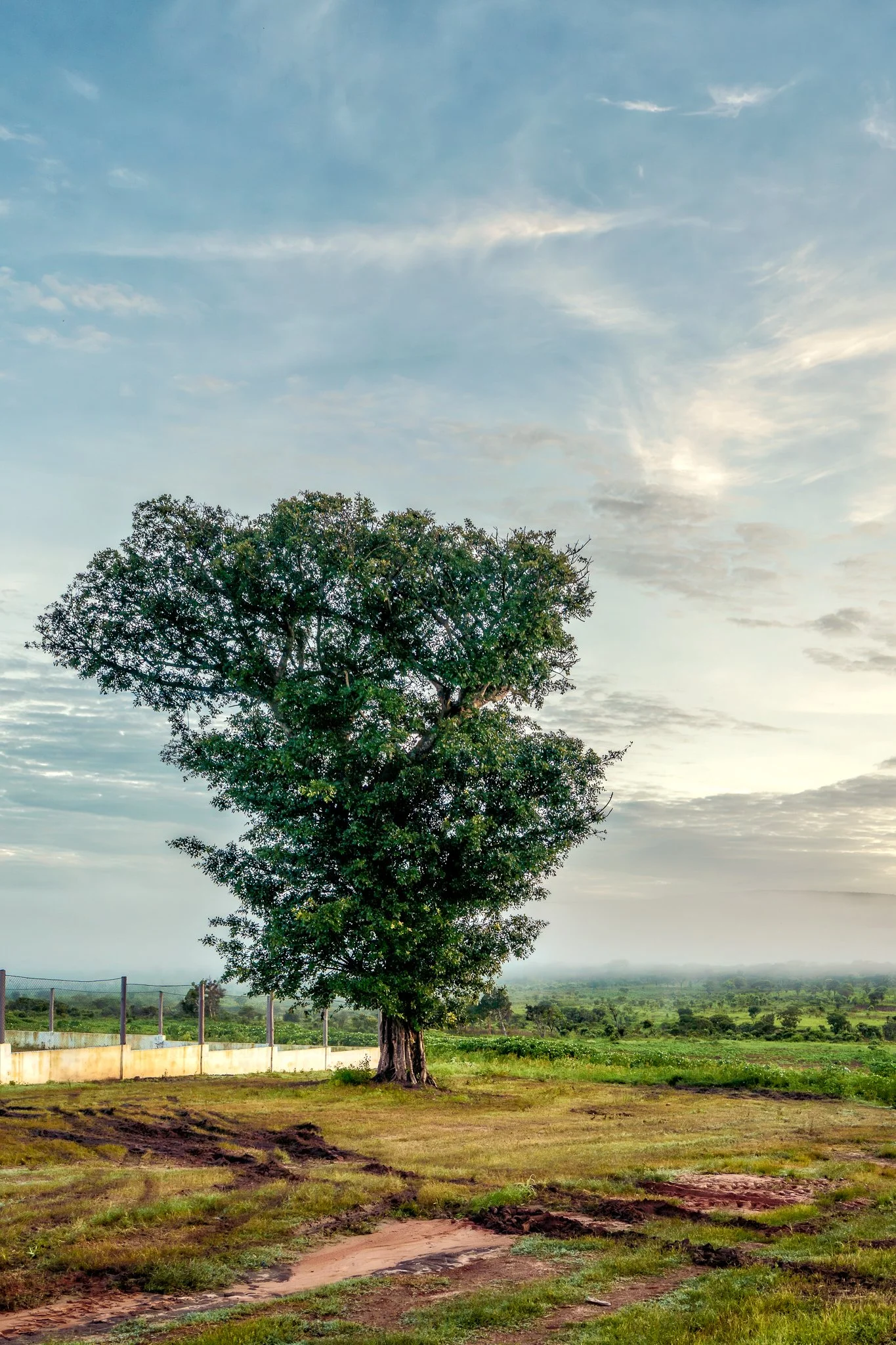 26112023Fazenda Kanduma0028-Editar-2.jpg