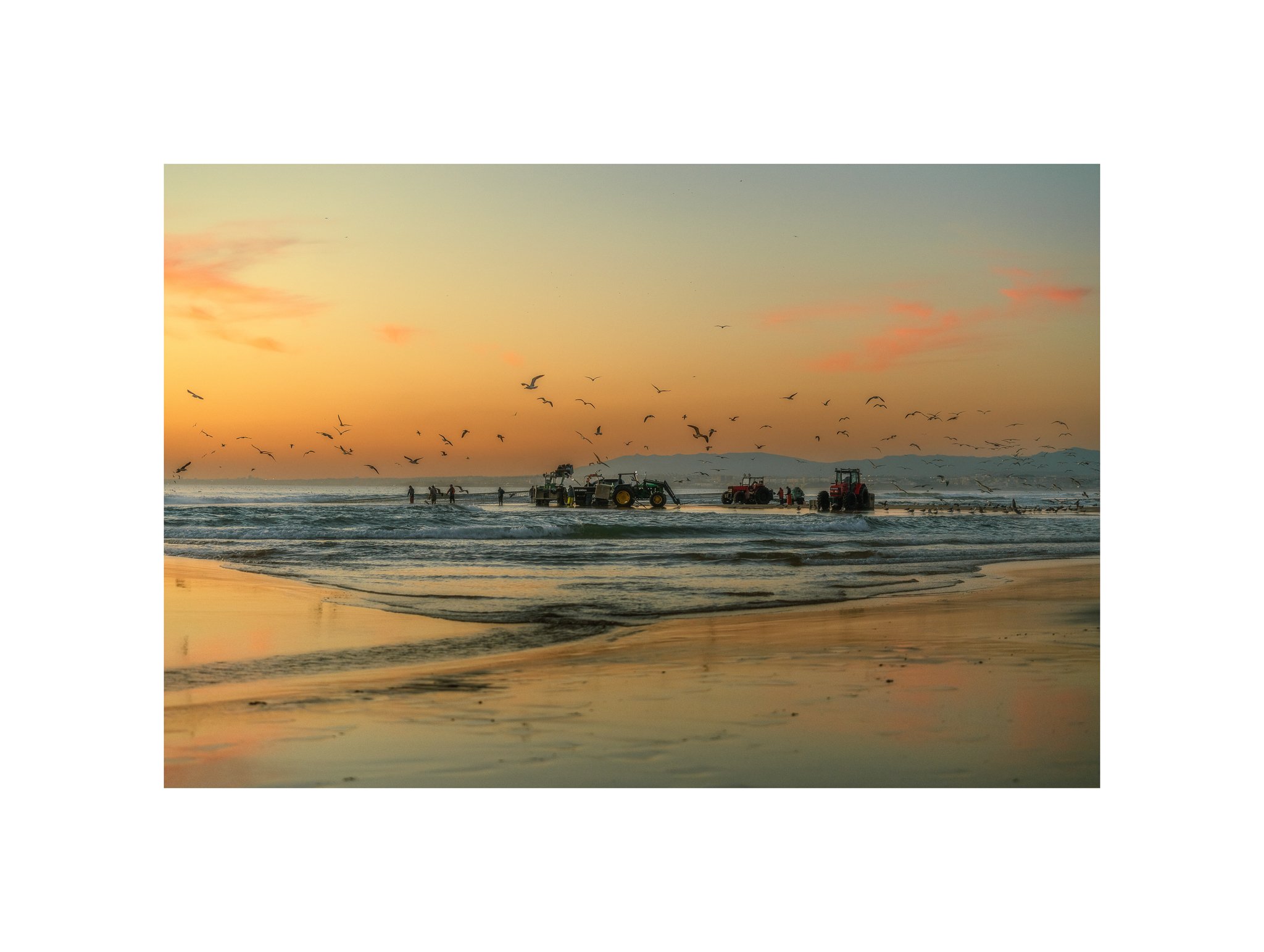 Costa da Caparica - (Arte Xávega, Gaivotas 07) (30x40)