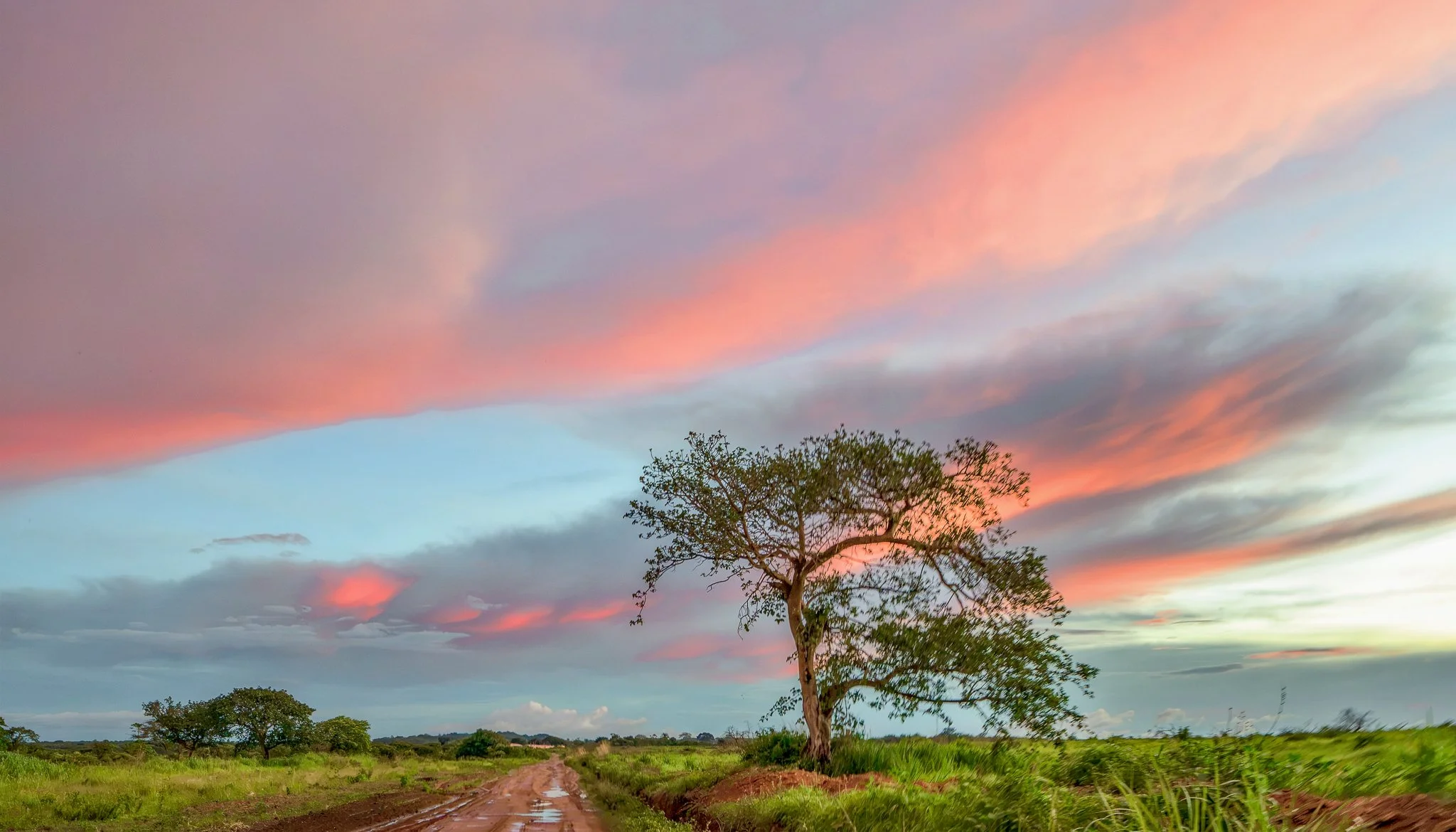 26112023Fazenda Kanduma1618-Editar 1-Editar 6.jpg