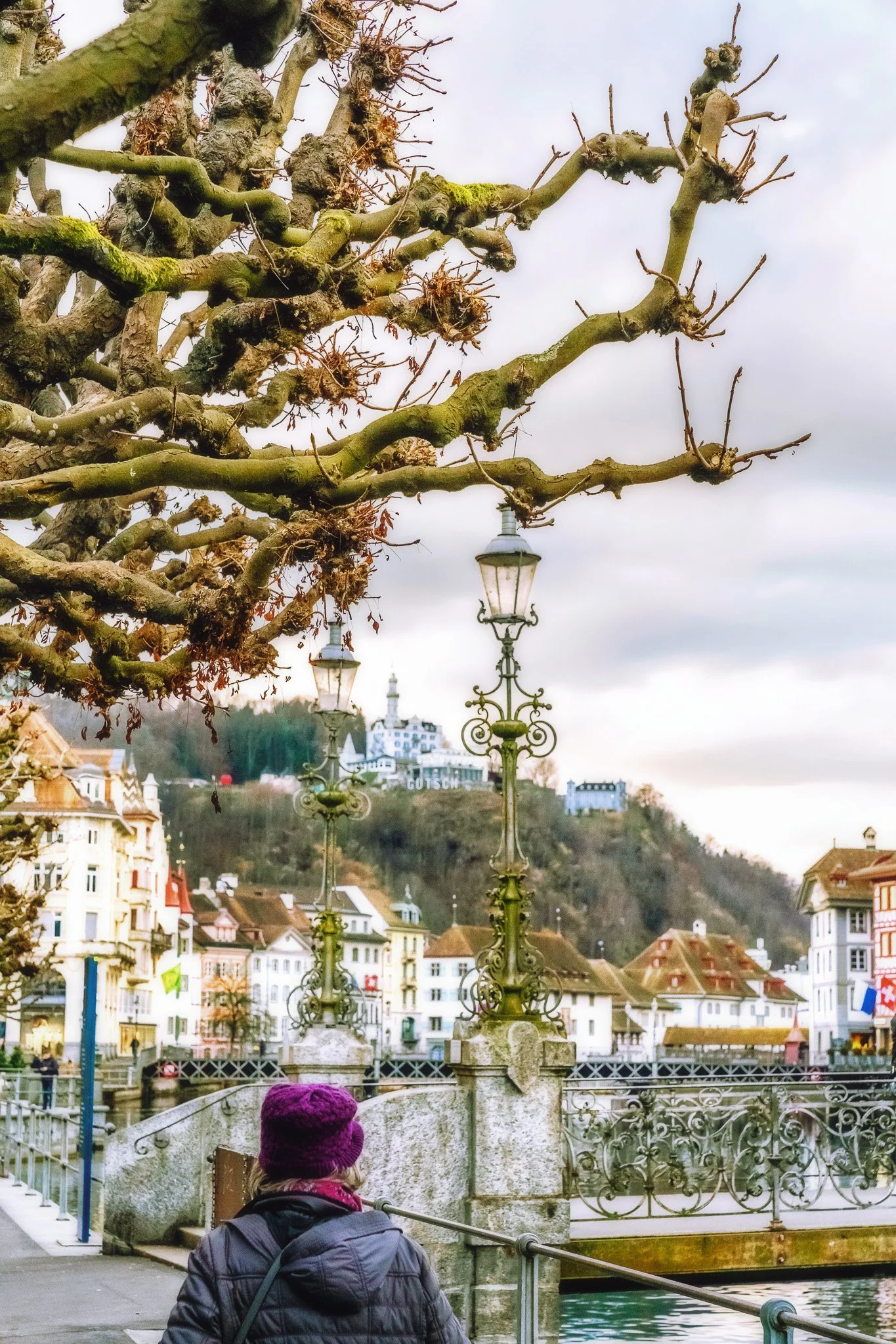 30012022Lucerne0307-Edit.jpg