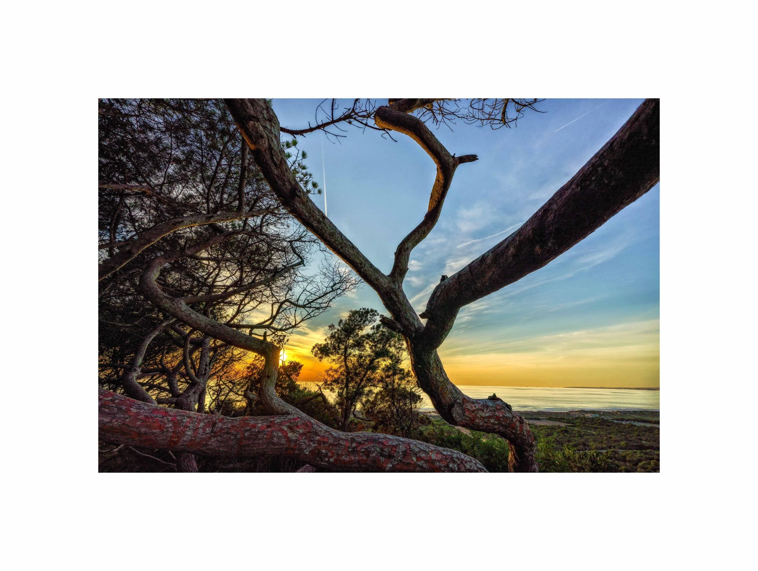 Costa da Caparica - (Mata dos Medos, Pôr do Sol 01) (30x40)