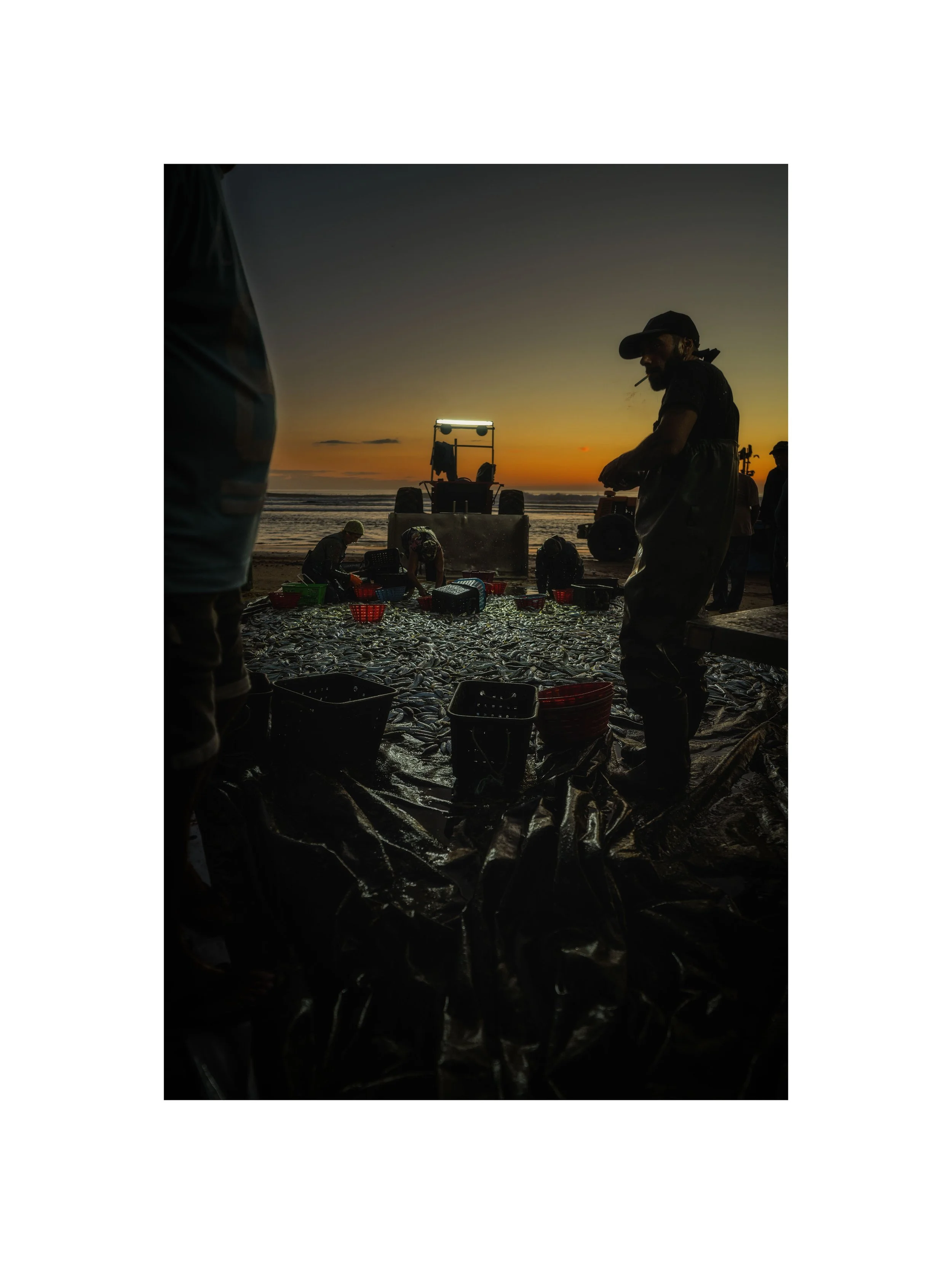Costa da Caparica - (Arte Xávega, Sardinha 15) (30x40)