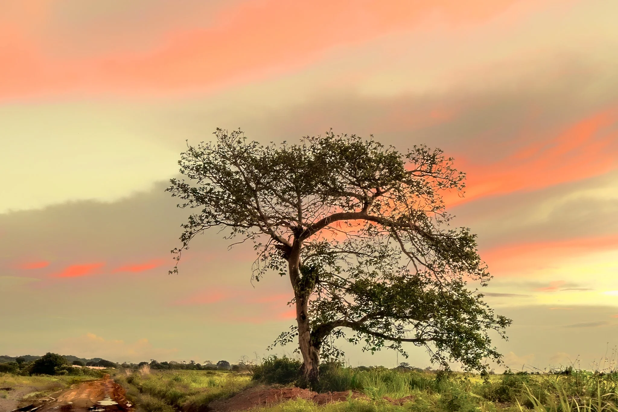 26112023Fazenda Kanduma1616-Editar-2.jpg