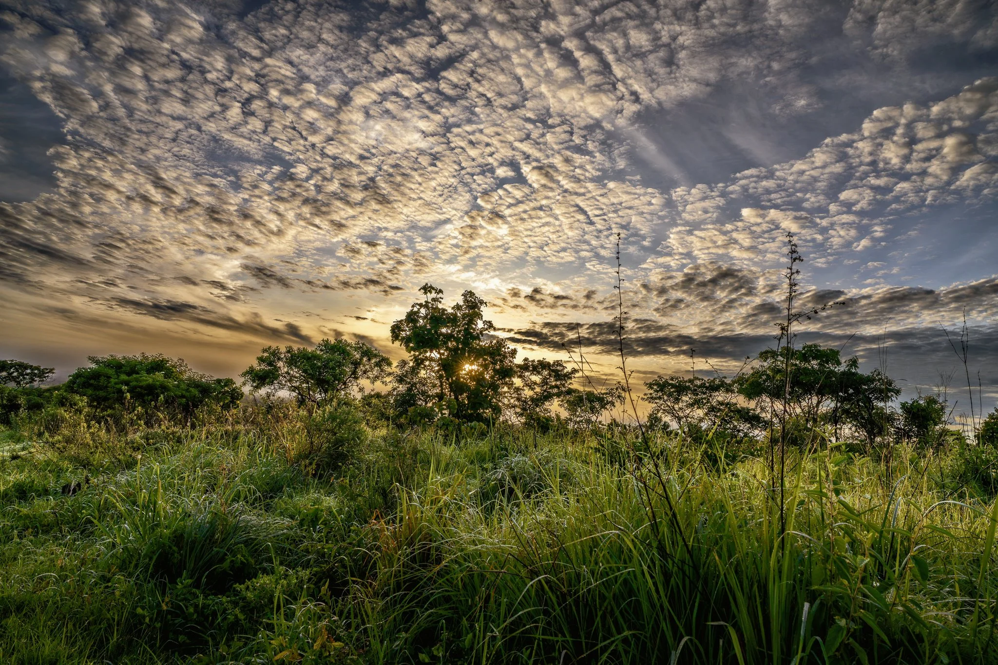 26112023Fazenda Kanduma0075-Editar.jpg