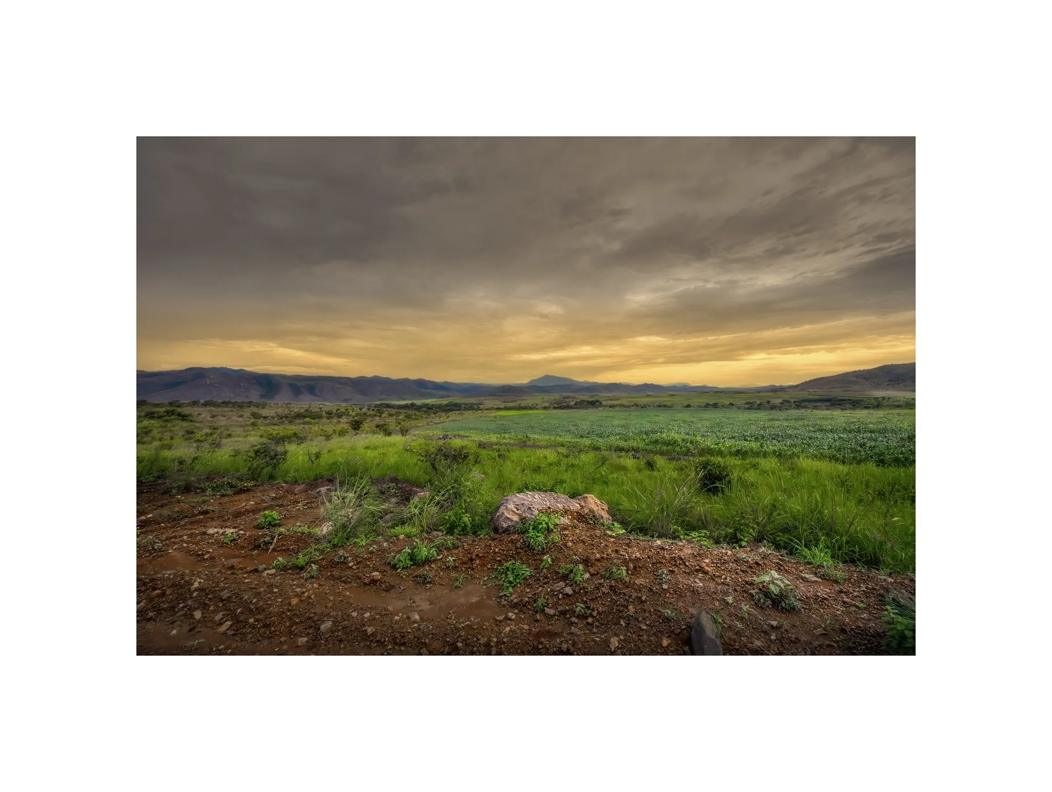 Angola - Faz. Molundo (Pôr do Sol 33) (30x40)