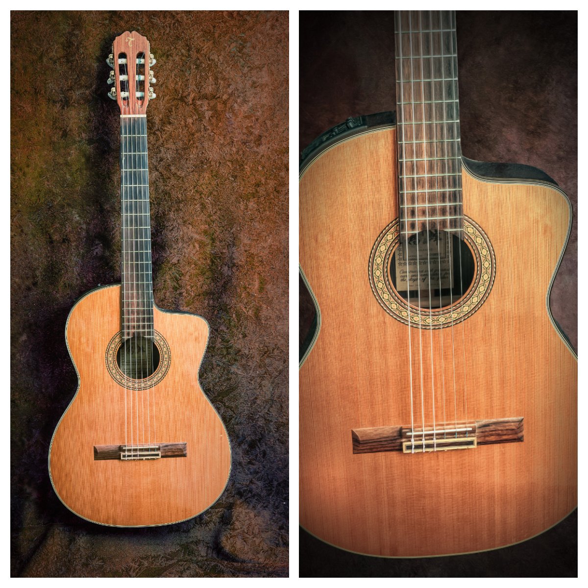 Takamine 3.jpg