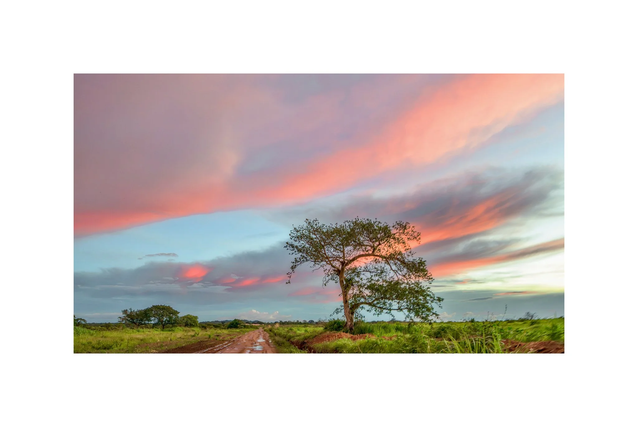 Angola - Faz. Kanduma (Céu Rosa 30 A) (30x45)