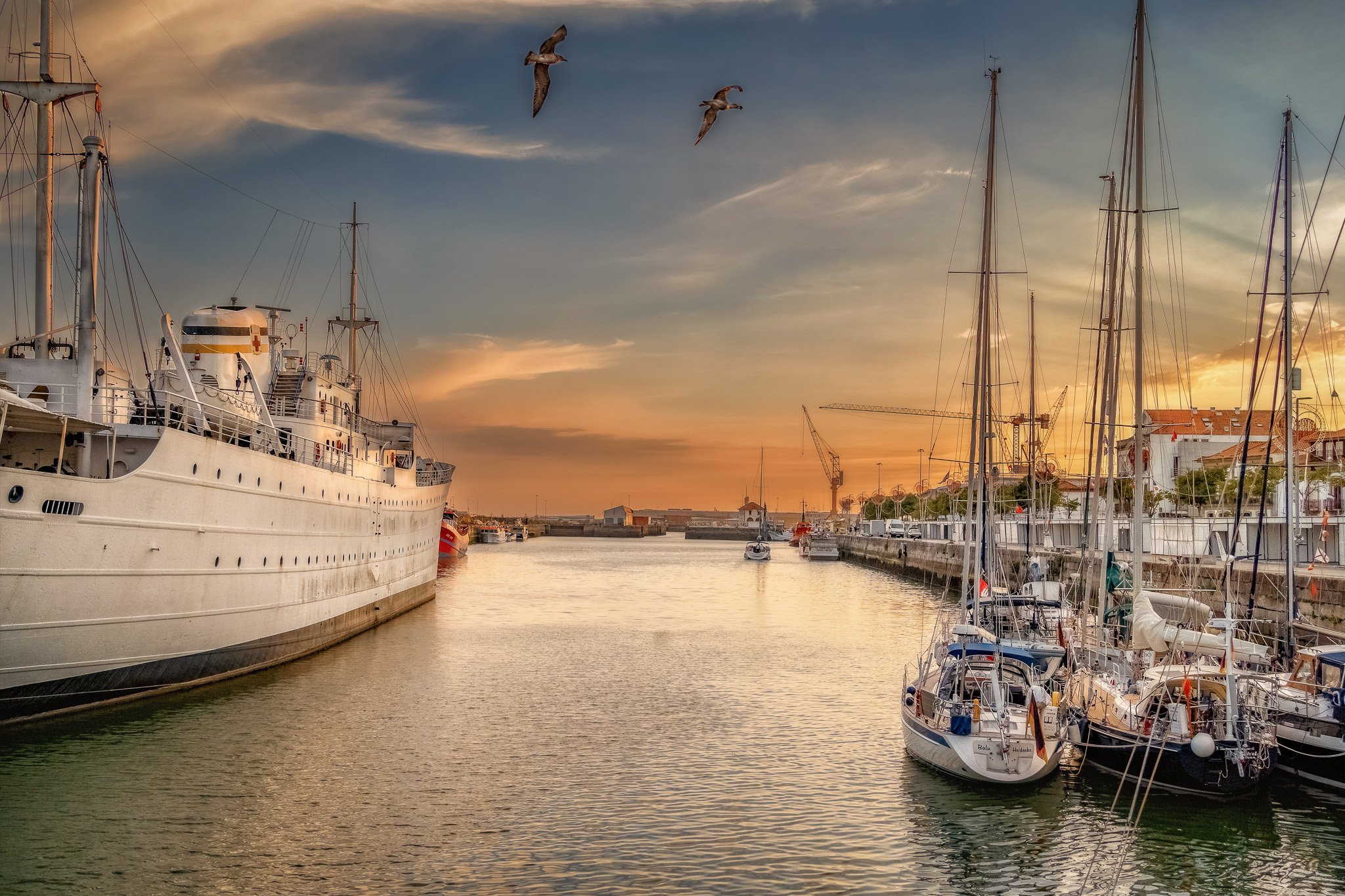 23082022Viana do Vastelo0181-Edit.jpg