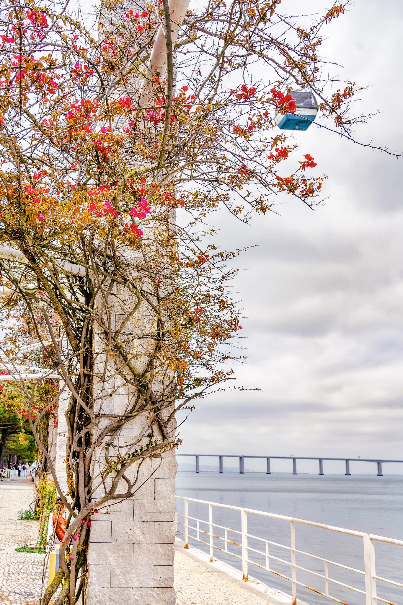 22052022Lisboa - Expo0061-Edit.jpg