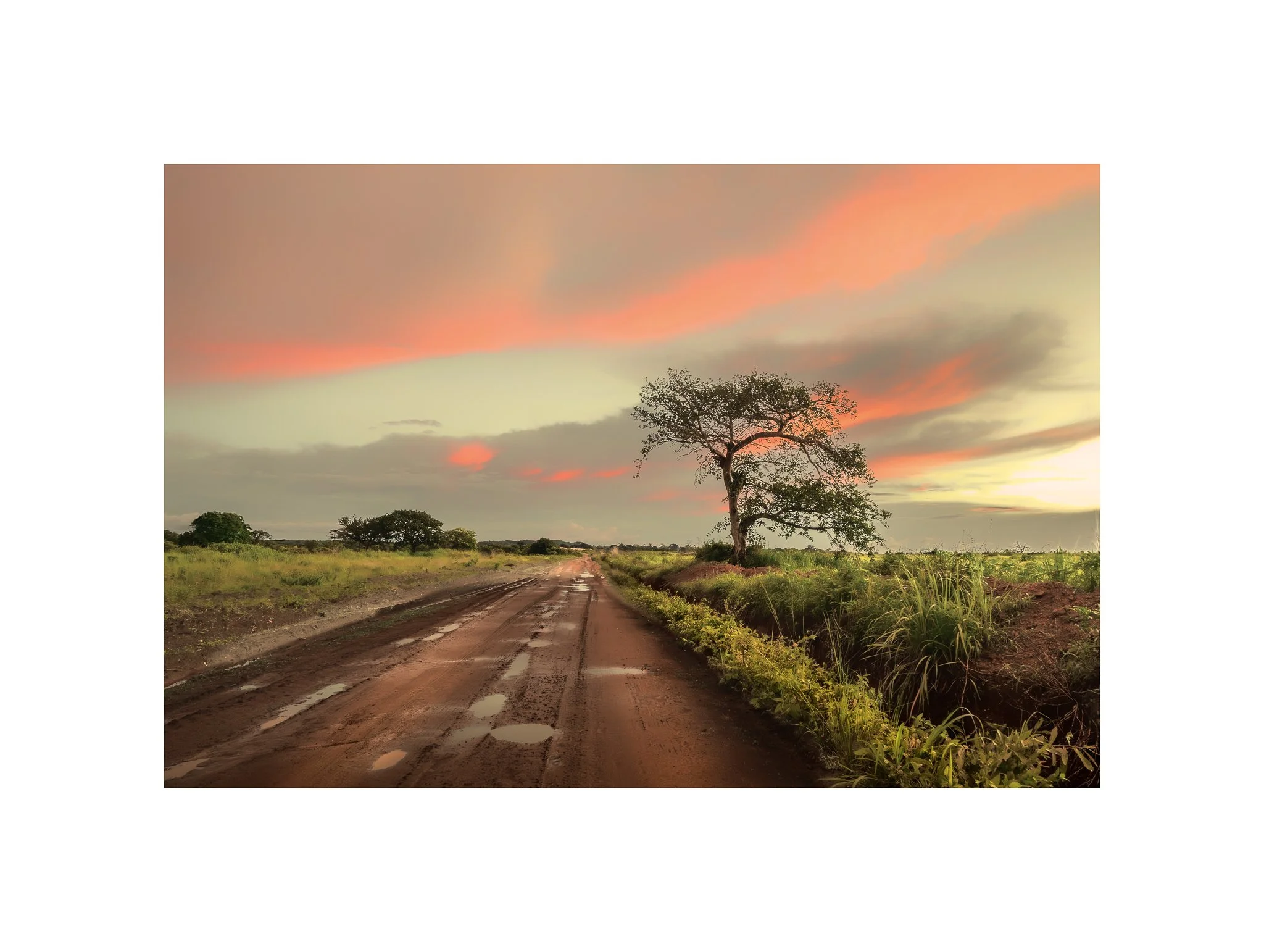 Angola - Faz. Kanduma (Pôr do Sol, Chuva 31) (30x40)