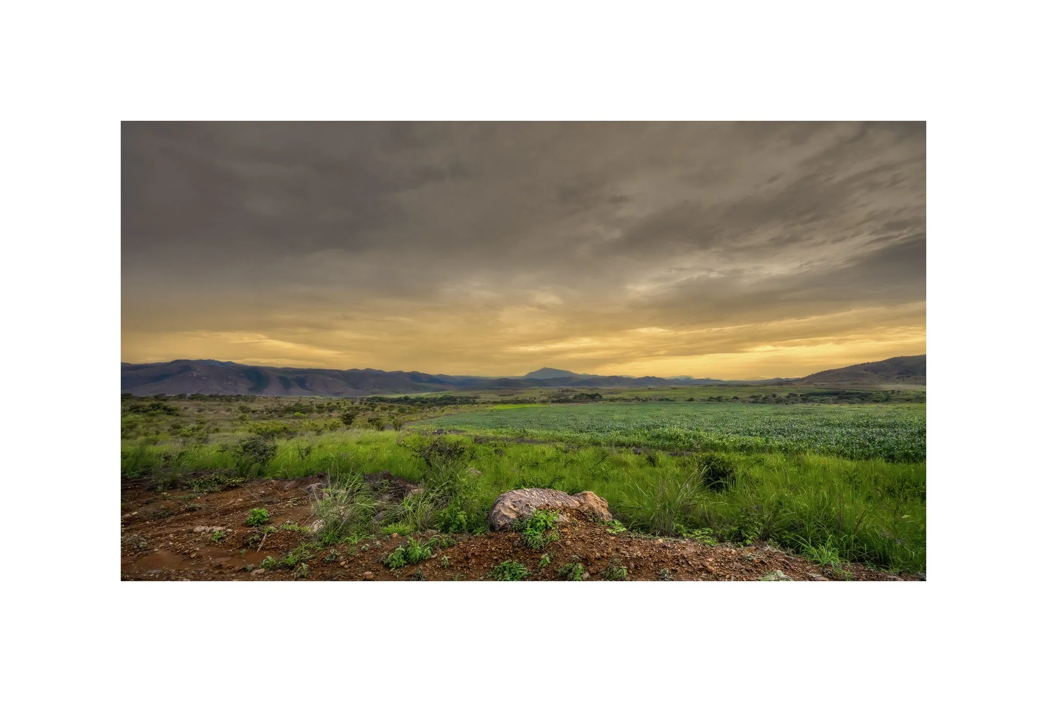 Angola - Faz. Molundo (Pôr do Sol 33 A) (30x45)