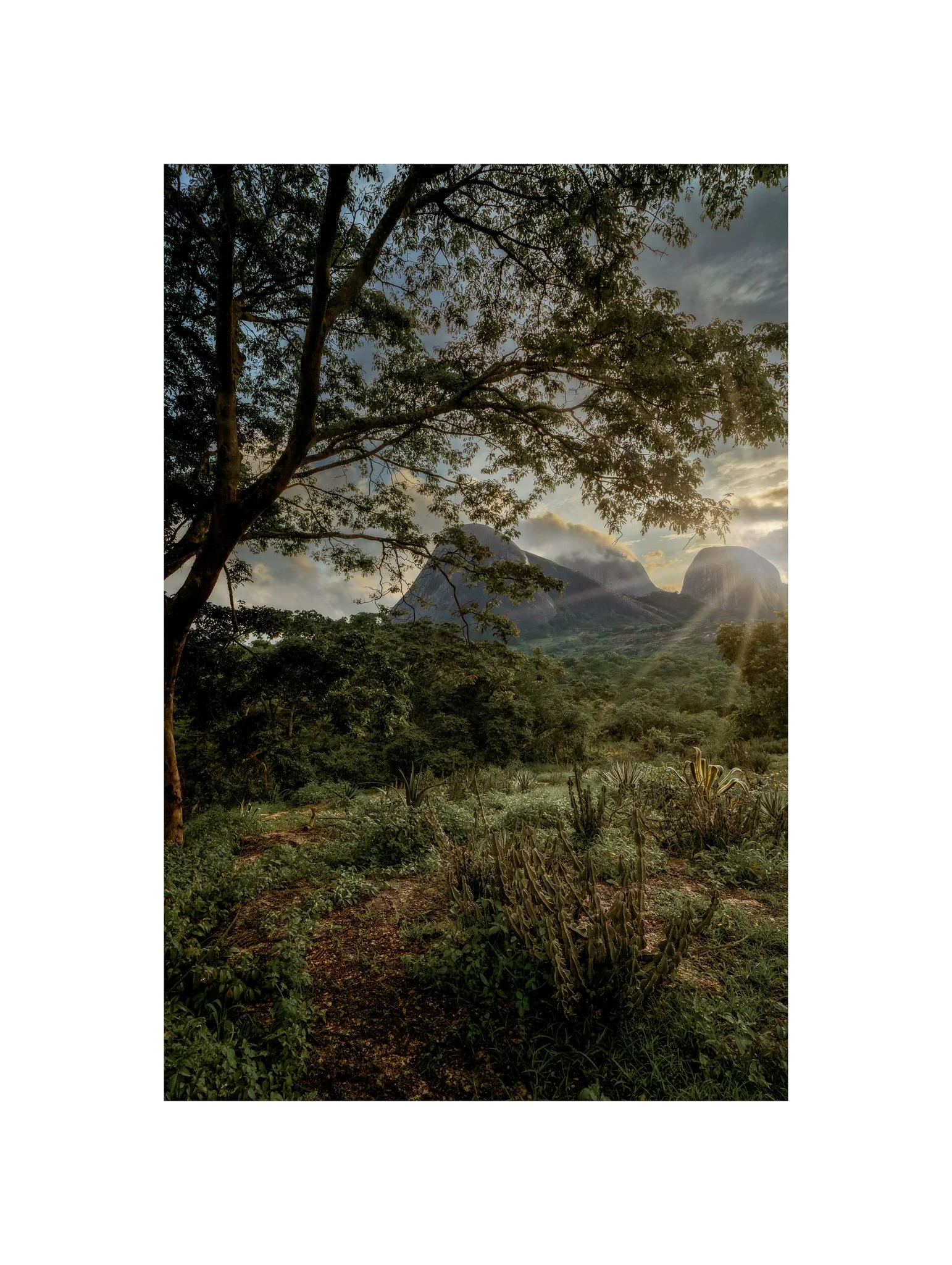 Angola - Conda (Pôr do Sol, Pedras 13 D) (30x40)