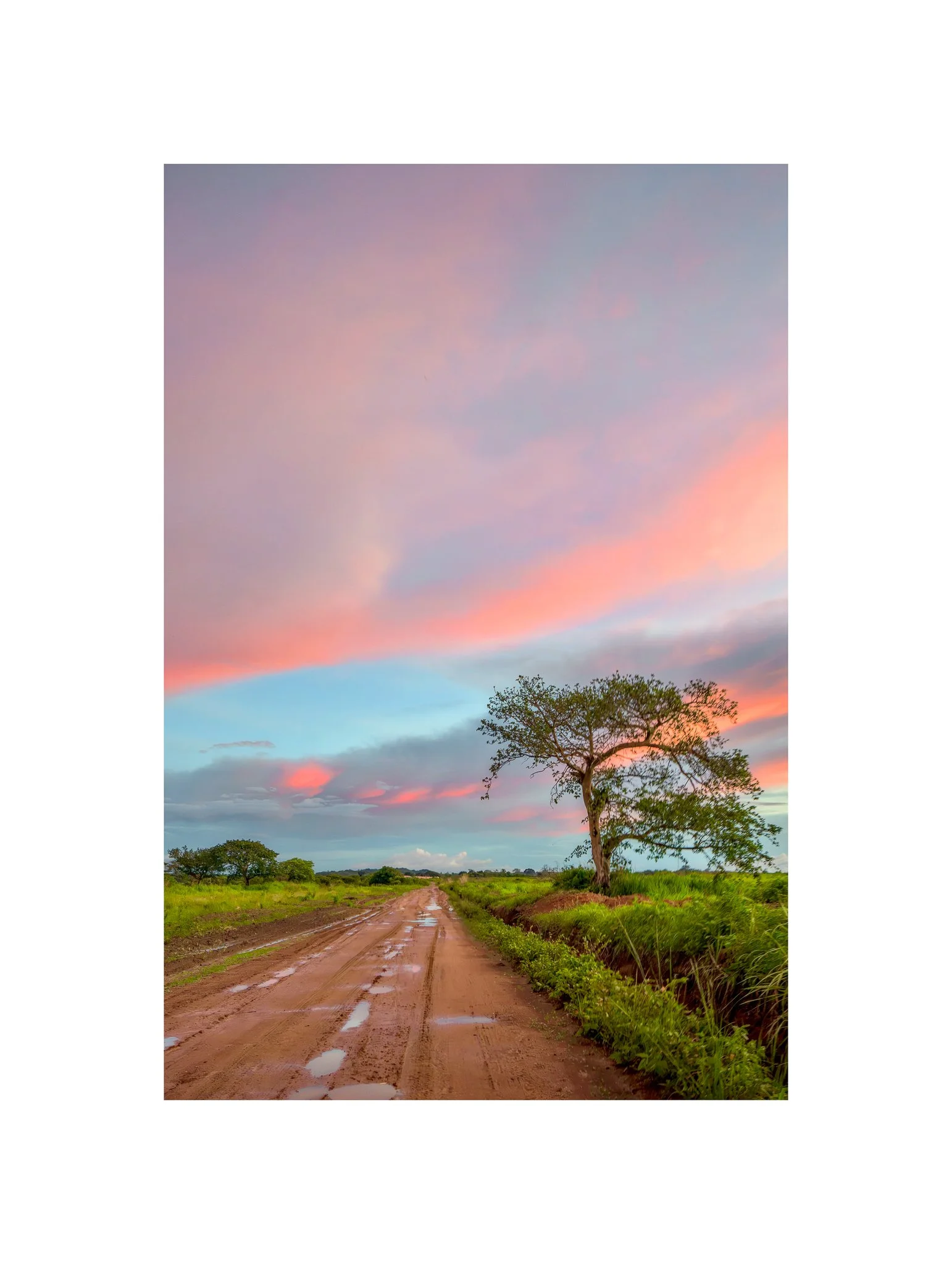Angola - Faz. Kanduma (Céu Rosa 30 B) (30x40)