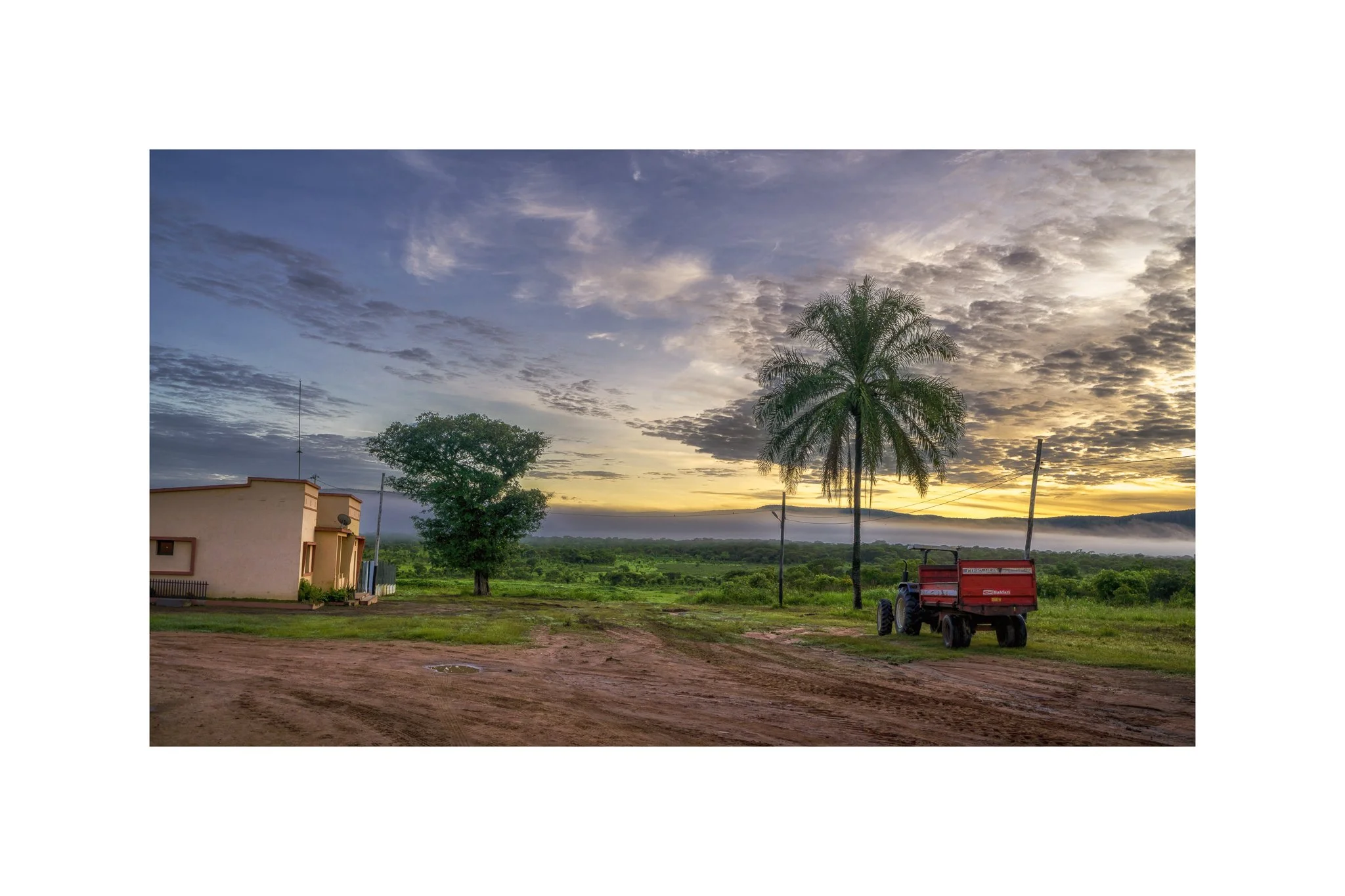 Angola - Cambau (Faz. Kanduma 20A) (30x45)
