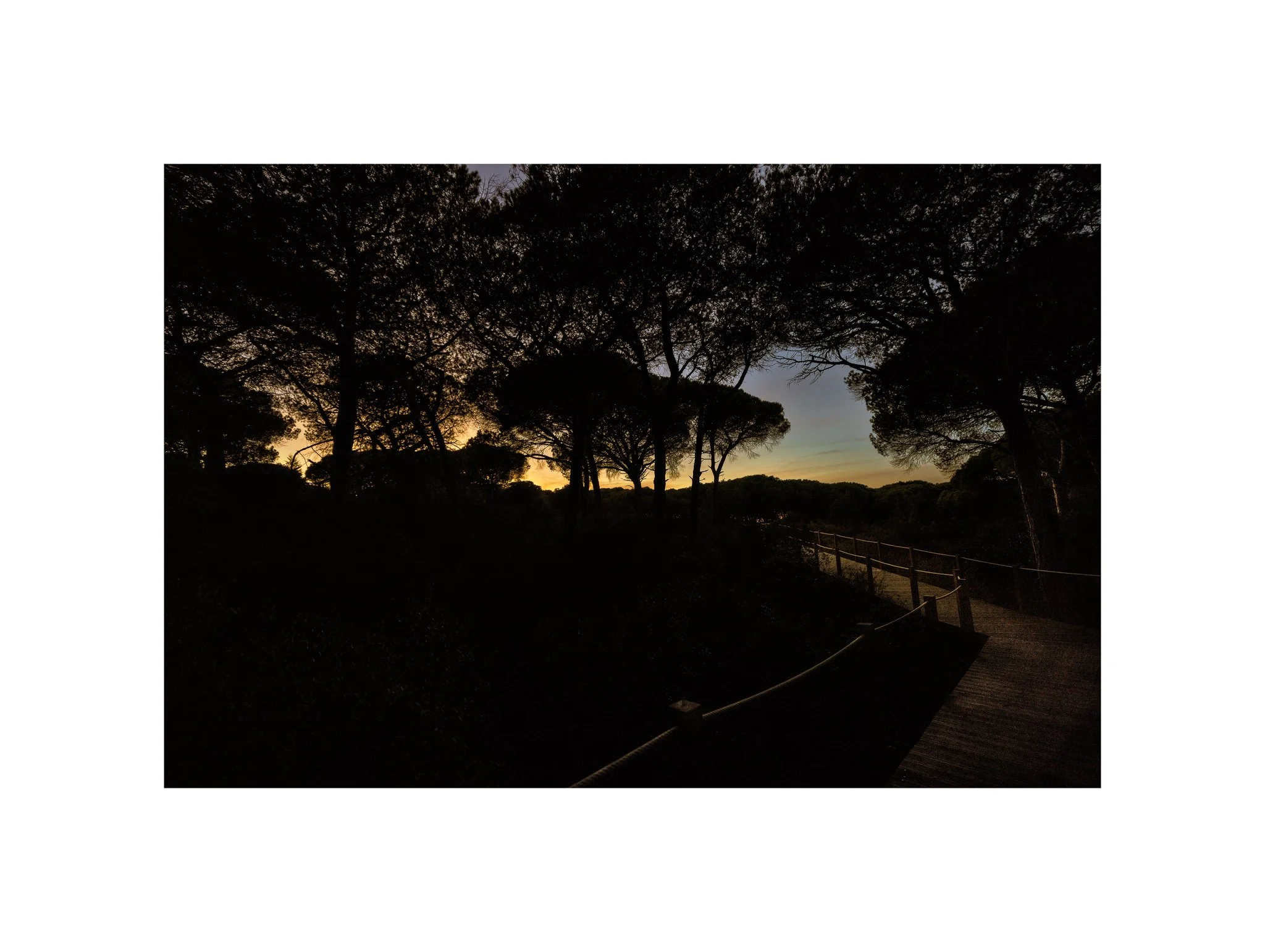 Costa da Caparica - (Mata dos Medos, Sombra 06) (30x40)