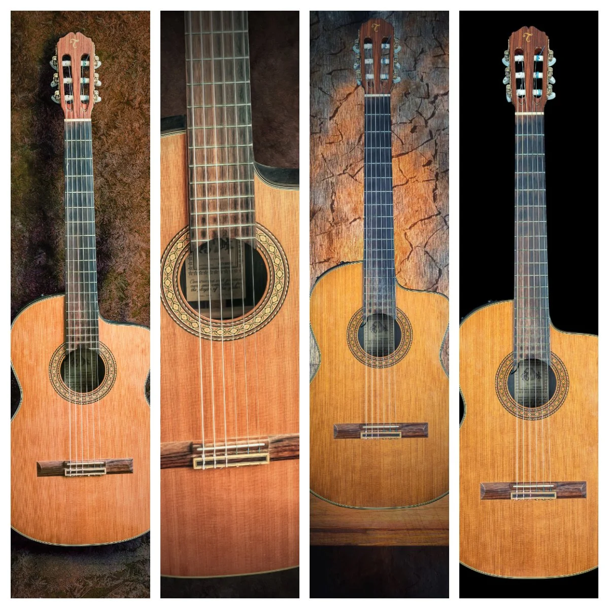 Takamine.jpg