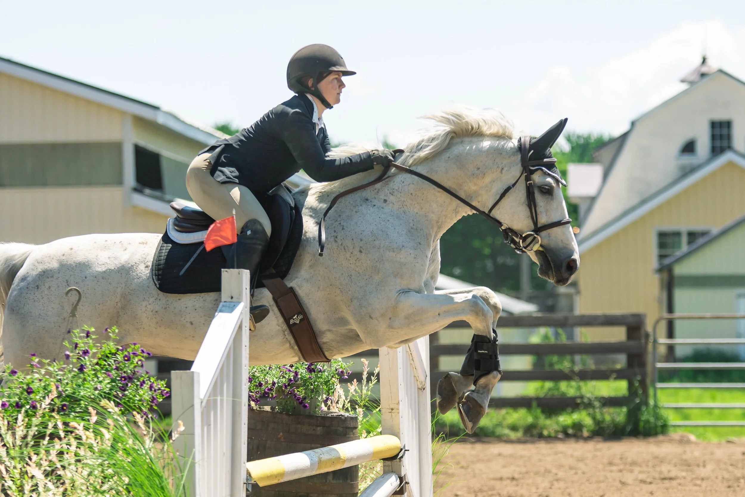 Horse Show Photos — Tarah Lee Photo