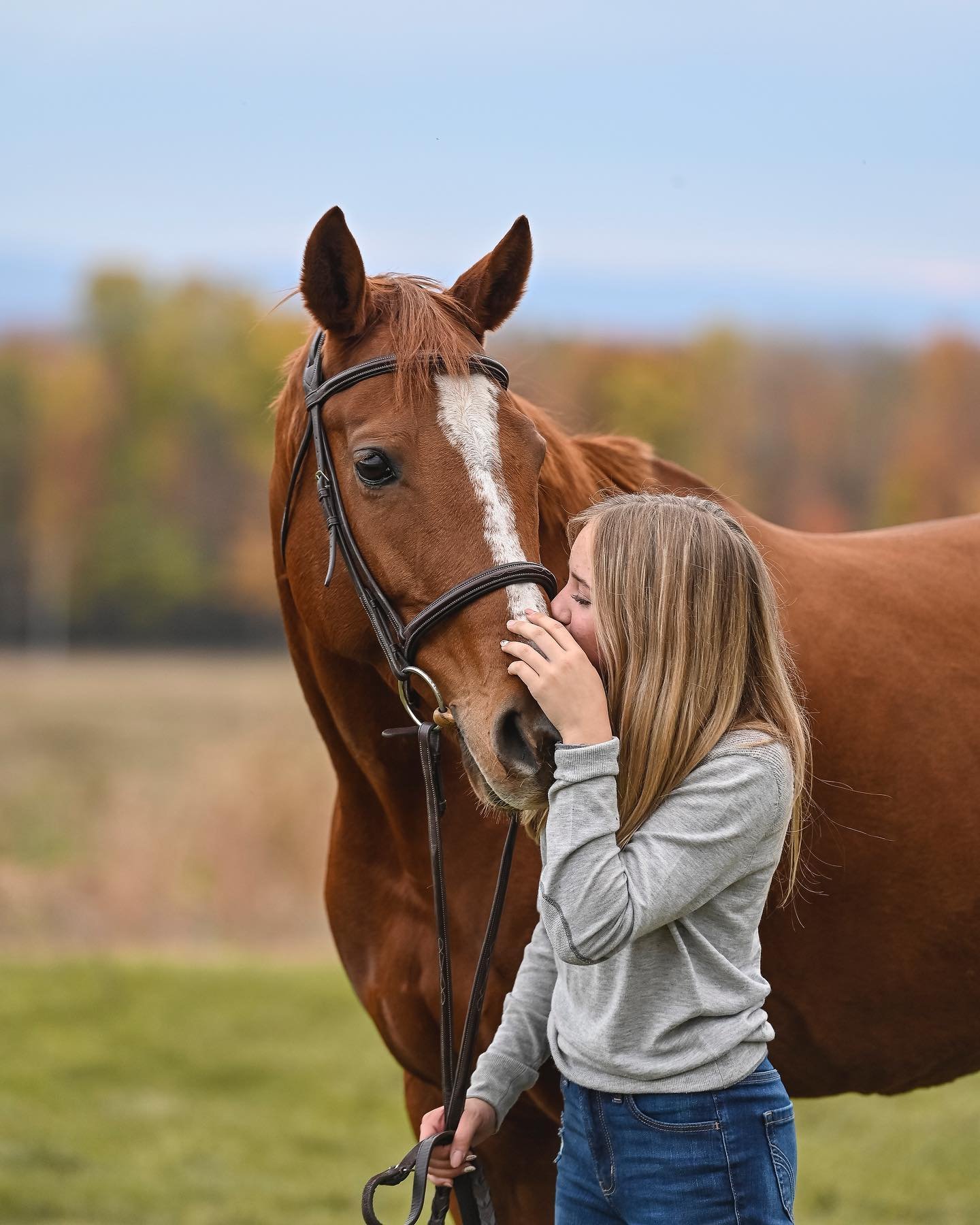 The cutest 🥰
.
.
.
#equestrainphotographer #horsephotographer #equineportrait #chestnutmare