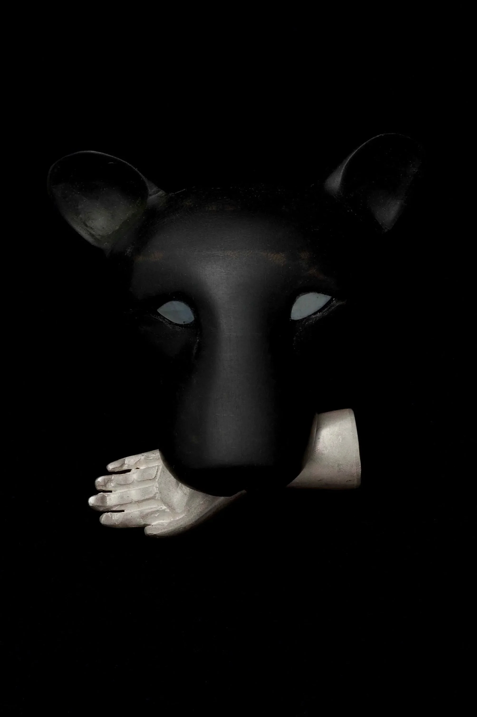 panthera%2Bpardus13.jpg