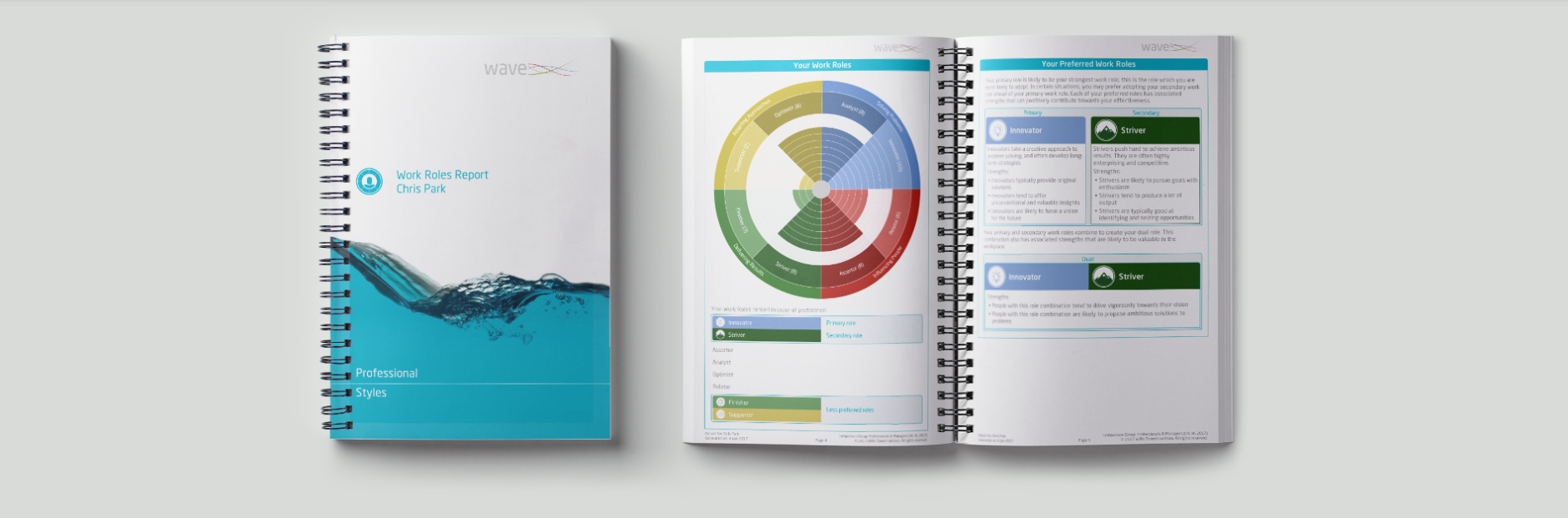 work roles report.PNG