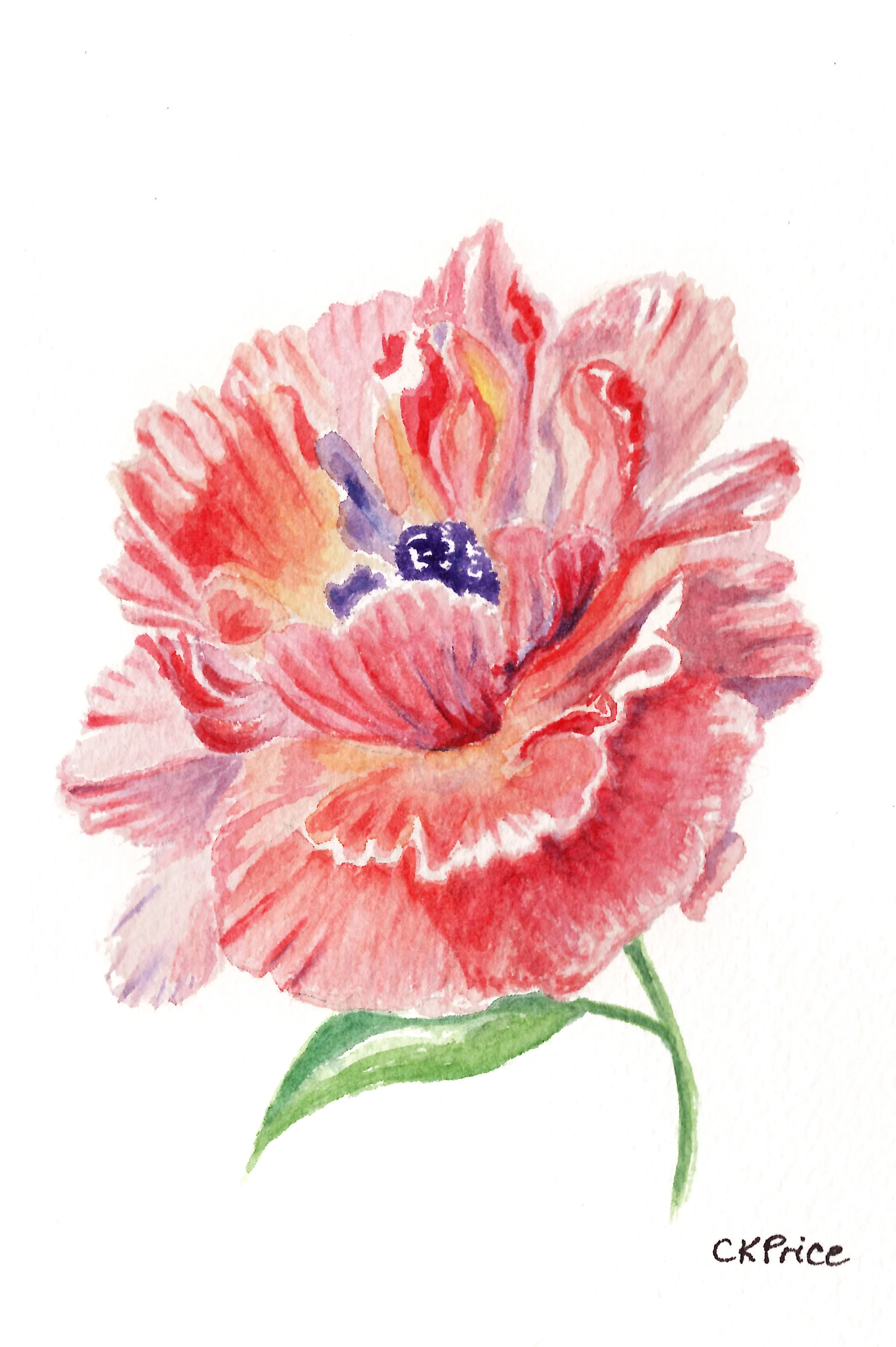 Orange-pink Peony.jpg