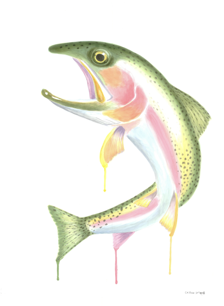 April Rainbow Trout.
Commission for Sage Lodge, Paradise Valley.