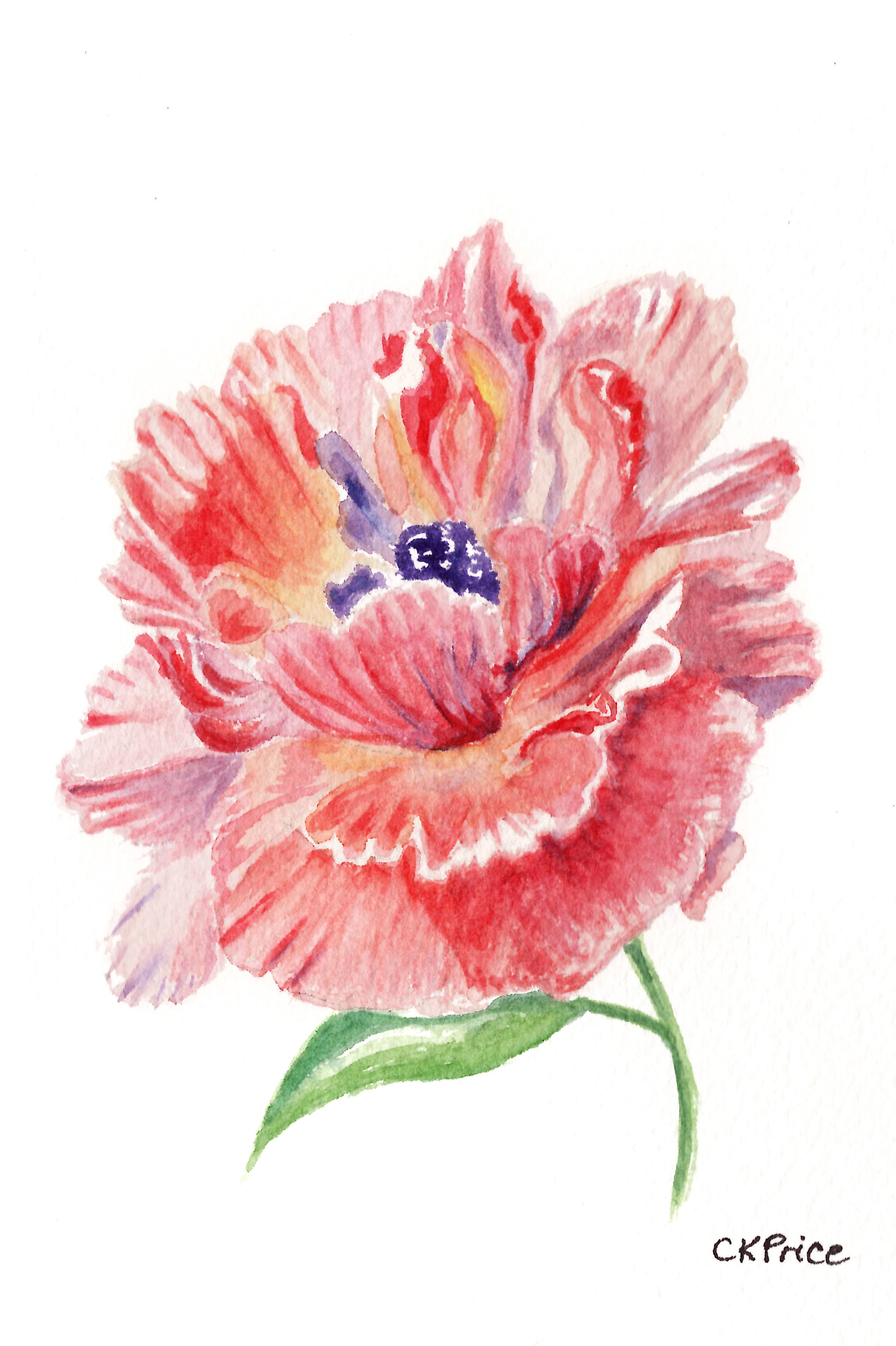 Orange Salmon Peony