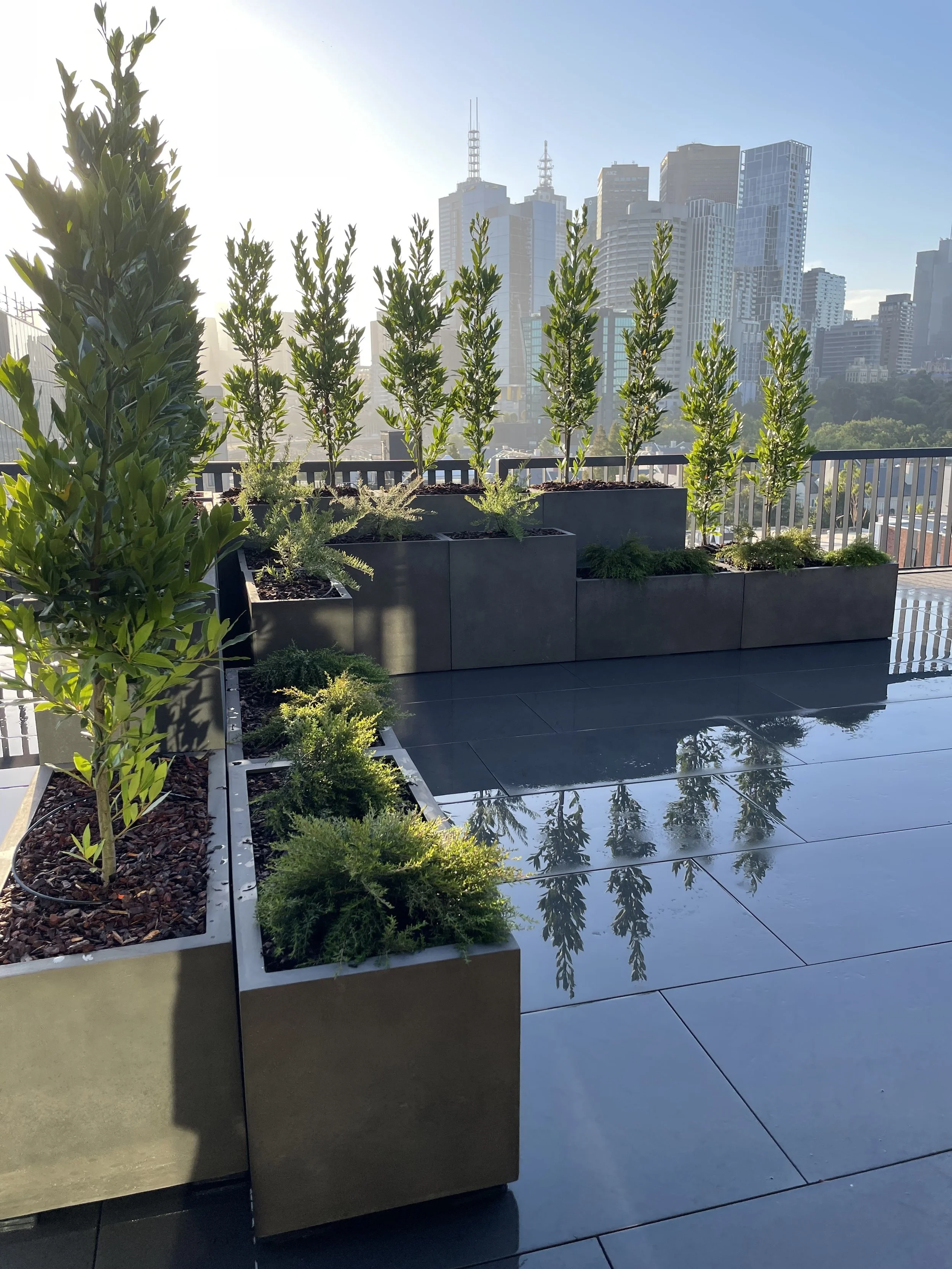 Urban rooftop garden with flowering plants and tall trees in planters against a city skyline backdrop, sunny weather.