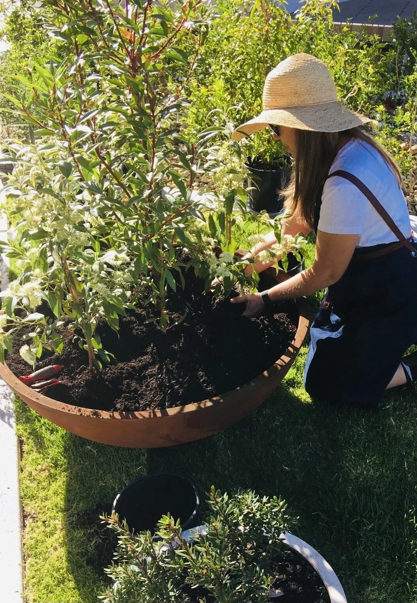 Woman planting flowers or plants in a large outdoor container garden, wearing a wide-brimmed straw hat, white shirt, and black apron, during daytime.