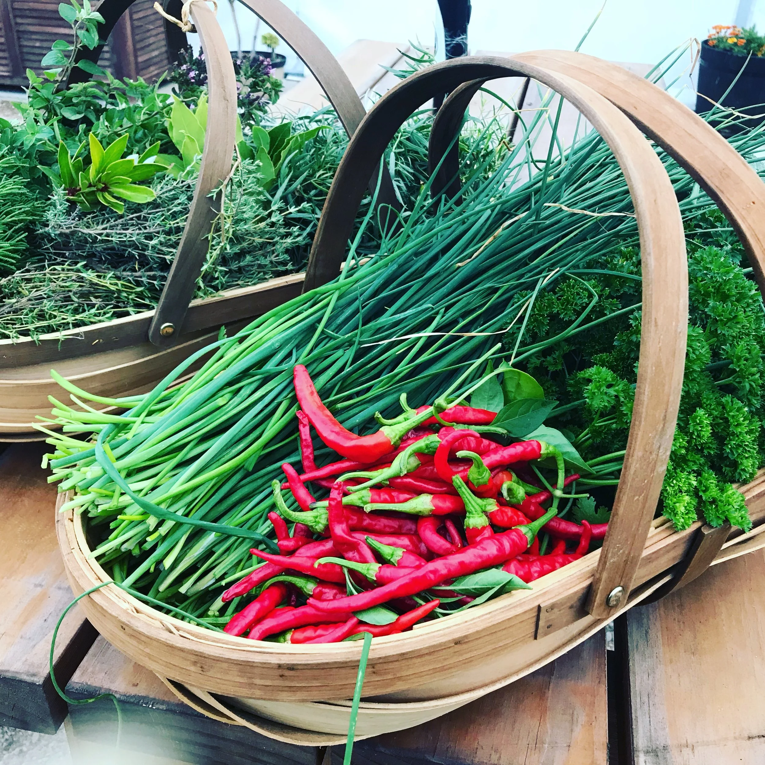 Fresh green herbs and red chili peppers in a wooden basket on a table.