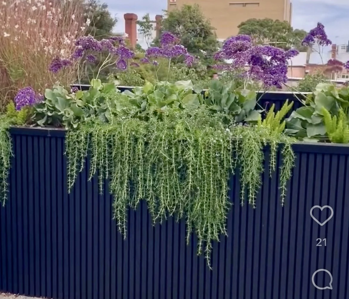 A rectangular black planter box filled with green plants and purple flowers, with some plants hanging over the edge.