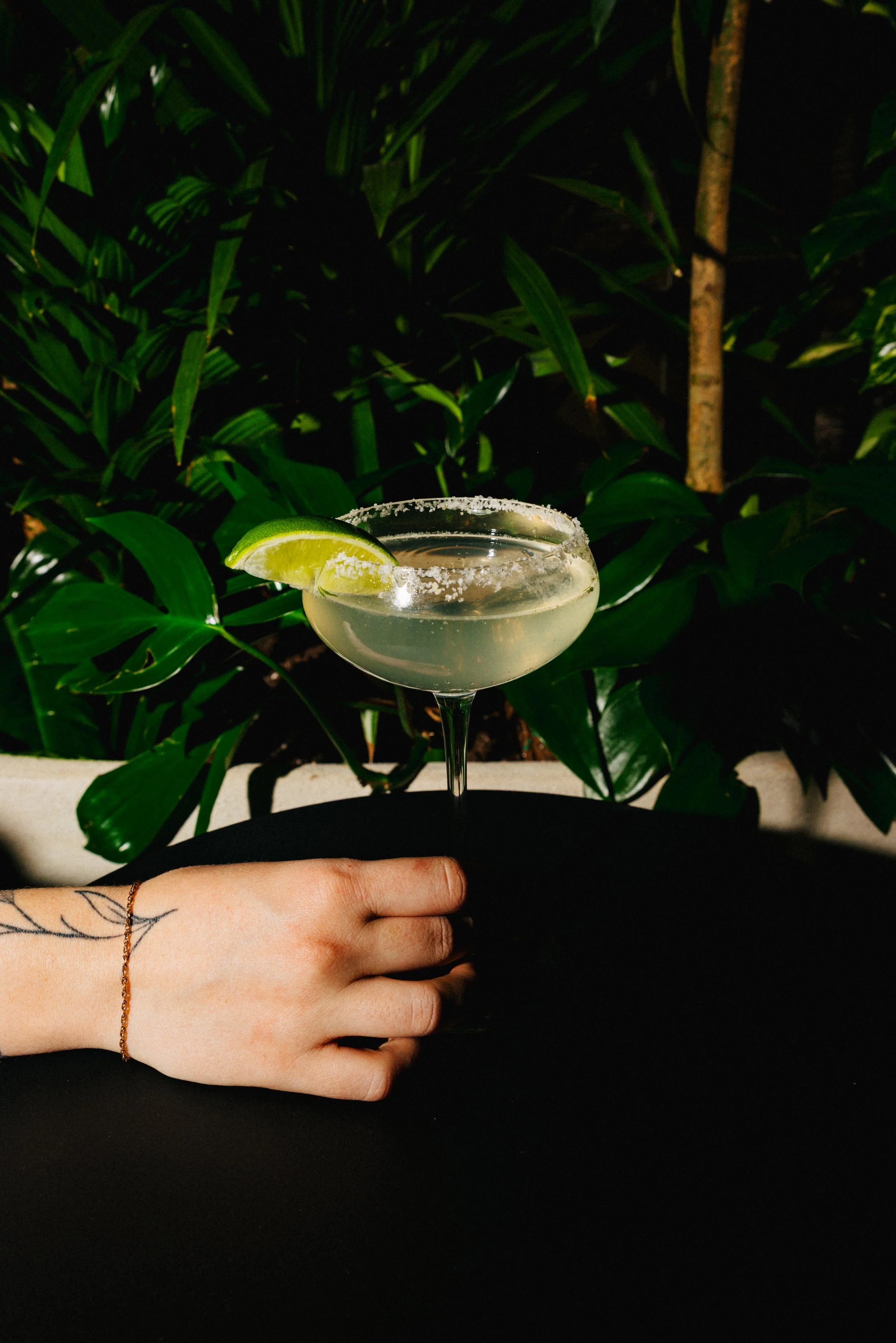 A cocktail glass filled with a clear drink, garnished with a lime wedge, being held by a person with a tattooed hand and a gold bracelet, against a background of green tropical plants.