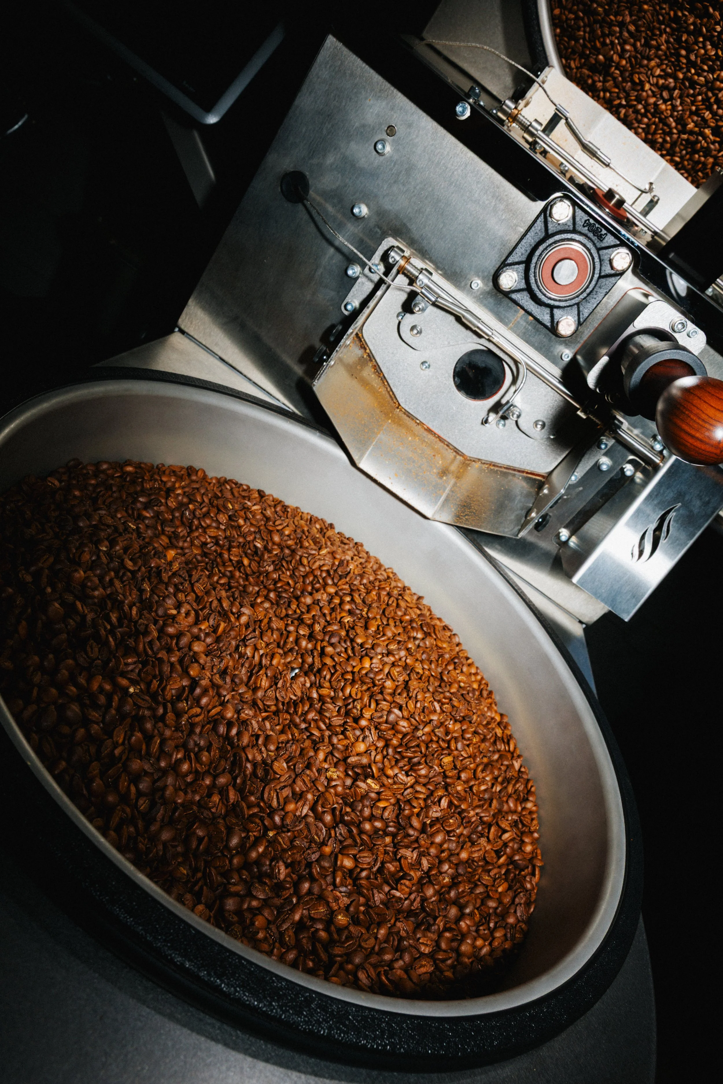 Coffee roasting machine with roasted coffee beans inside.