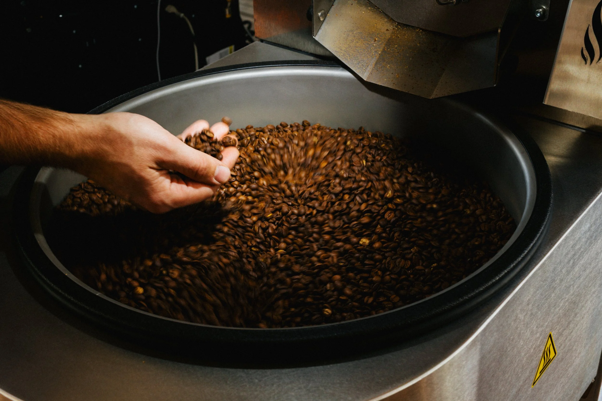 A person's hand stirring roasted coffee beans in a large metal container.