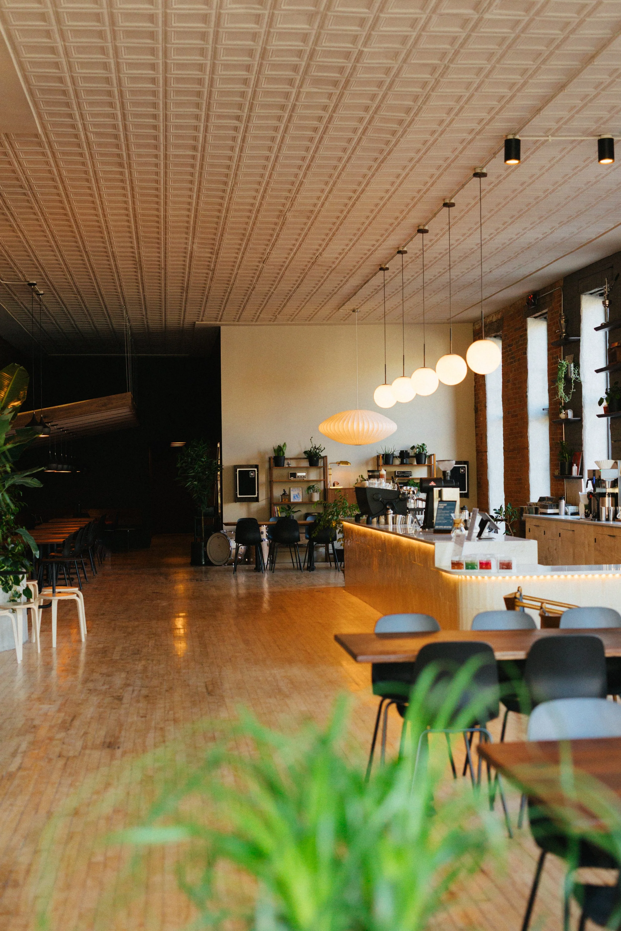 Interior of a modern cafe with wooden flooring, a curved wooden counter, hanging pendant lights, shelves with plants, and seating areas with chairs and tables.