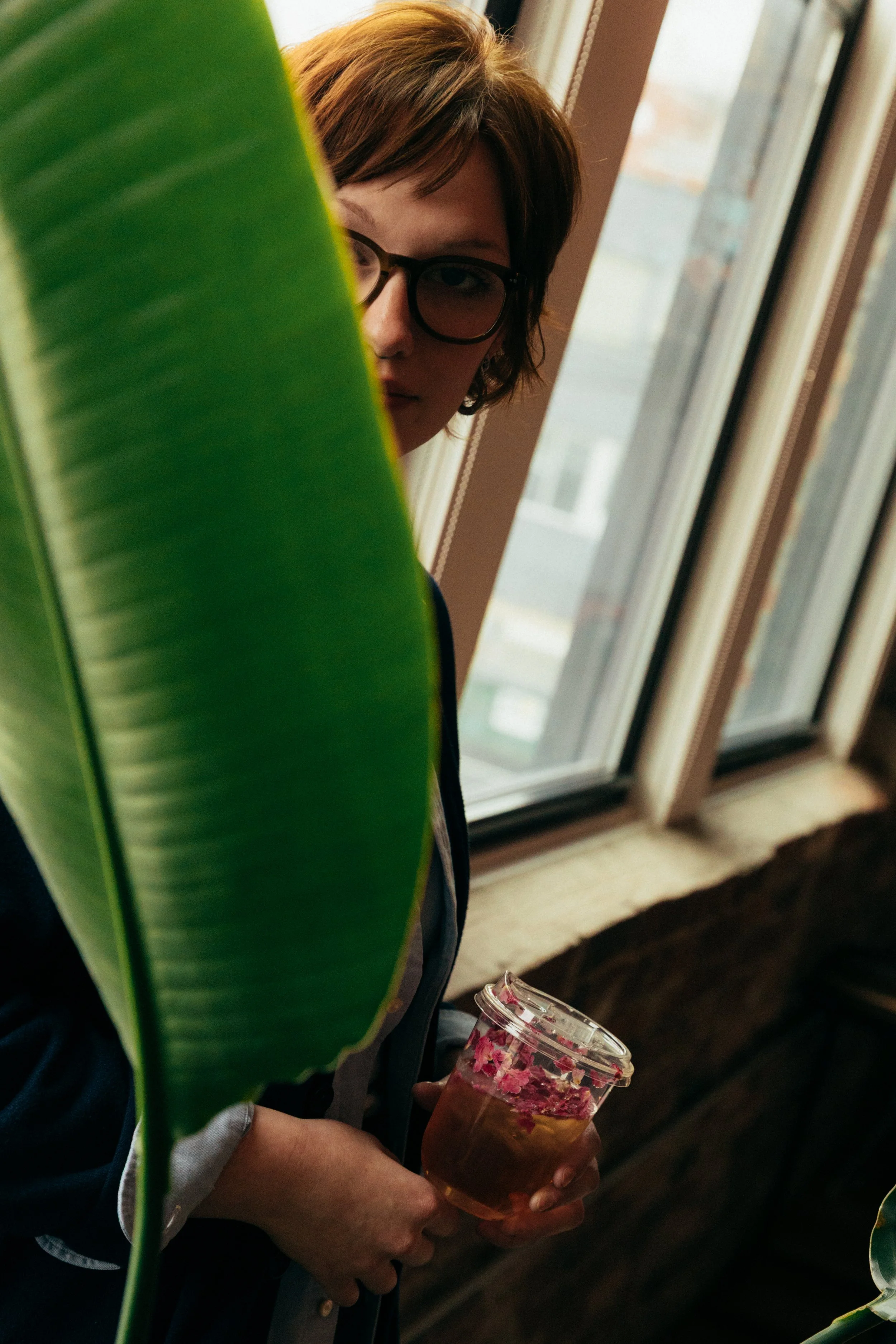 A person with brown hair, glasses, and a blue jacket is standing near a window, holding a beverage with pink flower petals on top. In the foreground, a large green plant leaf partially obscures their face.