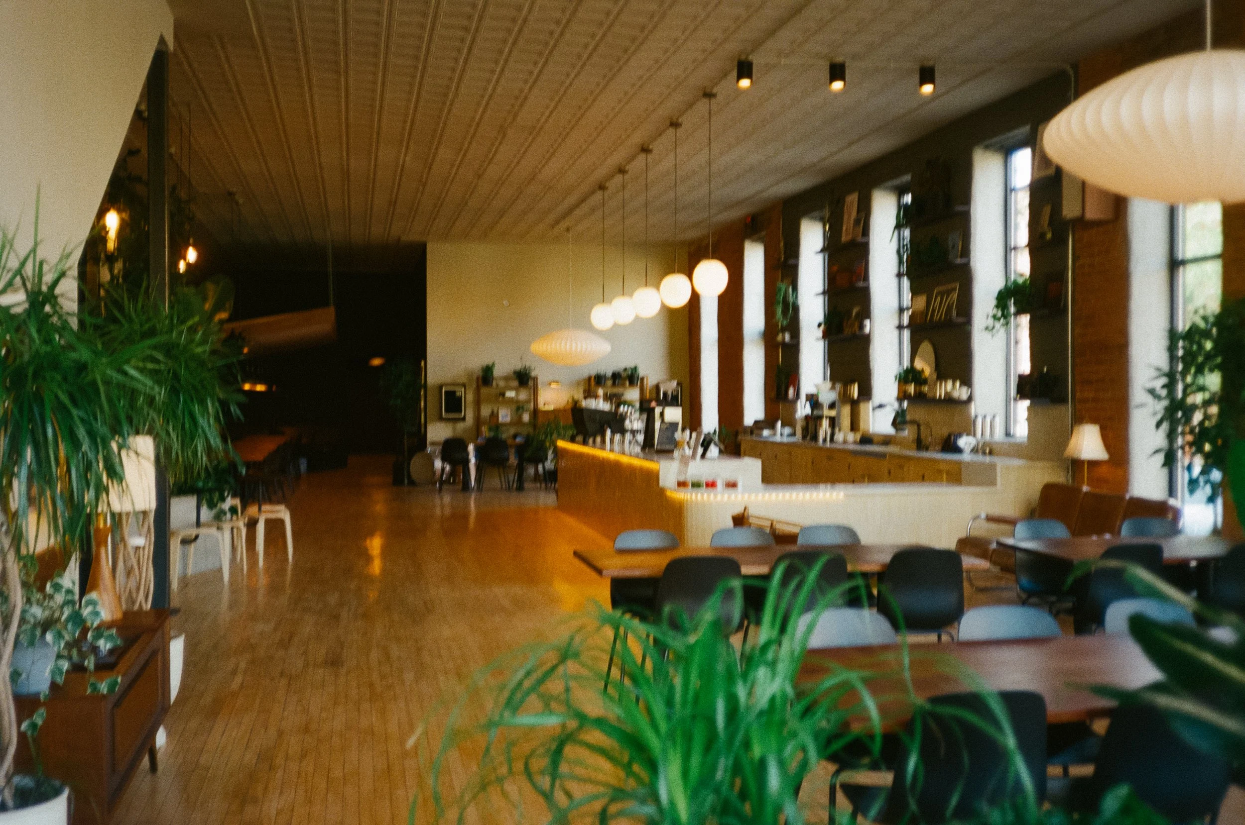 Vinyl Coffee is a cozy cafe interior with wooden floors, tables and chairs, large windows, green plants, hanging lights, and a counter area.