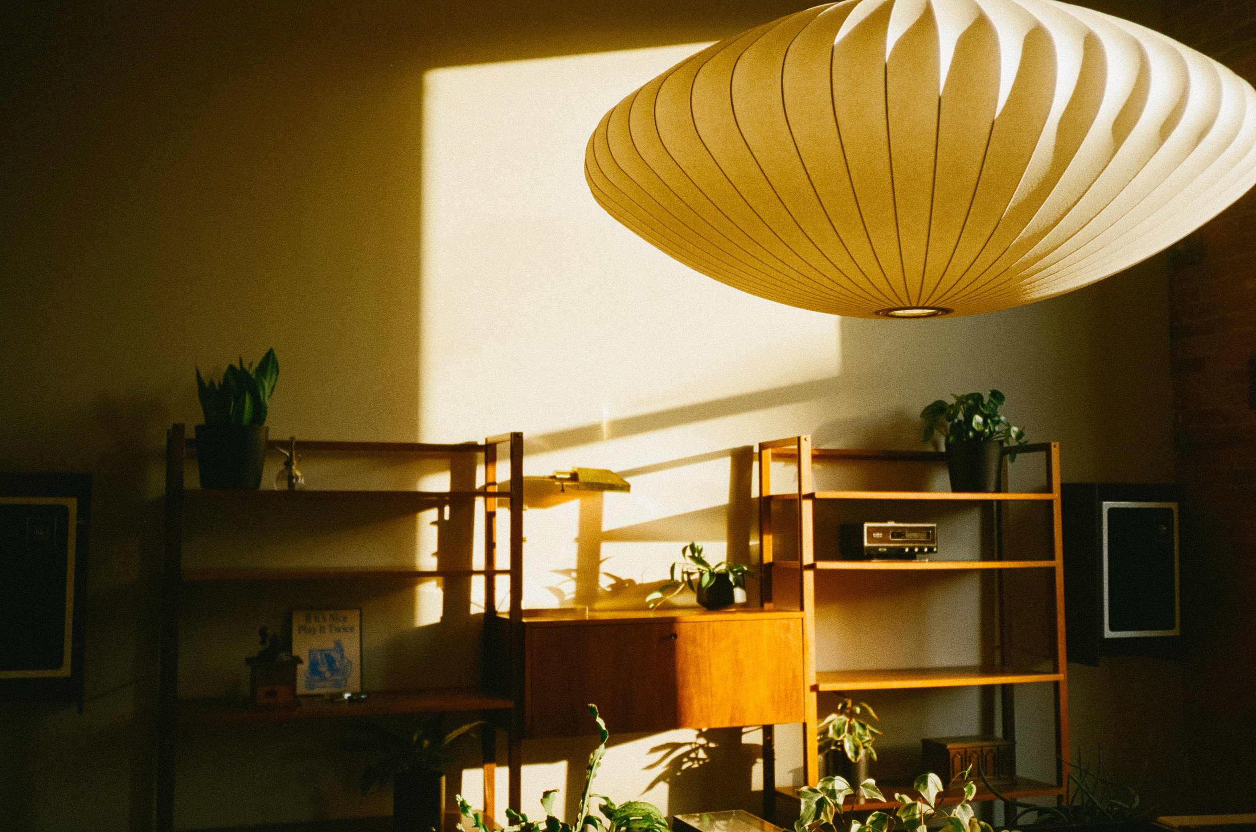 A room decorated with wooden shelving units, each holding potted plants and a few decorative items, illuminated by sunlight casting shadows on a white wall. A large, wooden, suspended ceiling light fixture is visible.