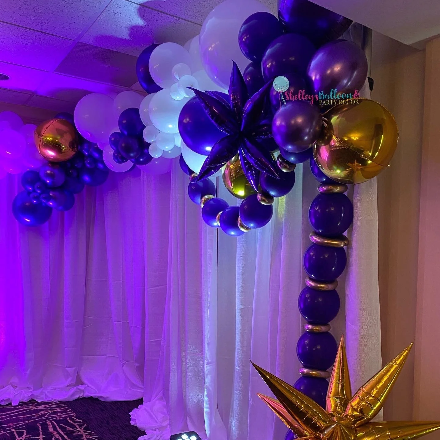 Shelley's Balloon & Party Decor!