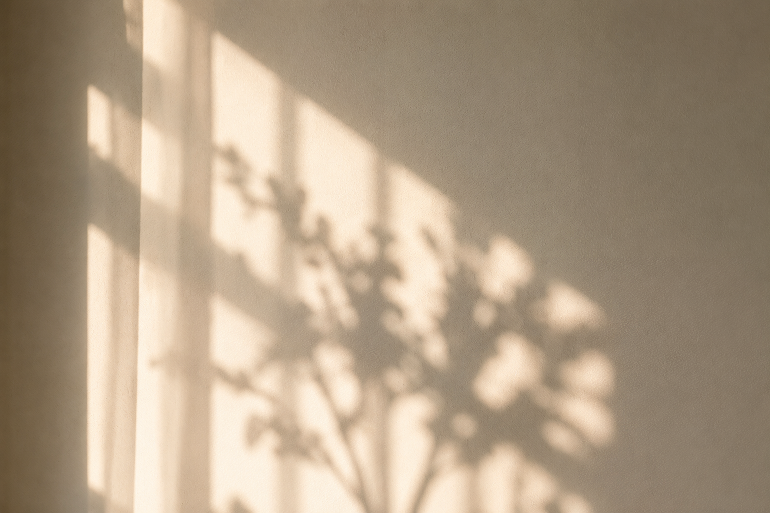 A Gentle Reset Meditation