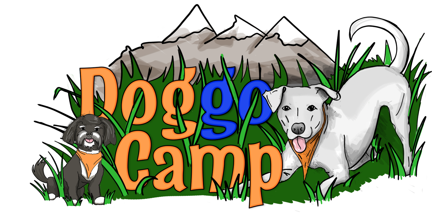 Doggo Camp - Adventures and Overnights!